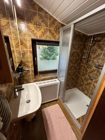 Large Two-Bedroom Apartment with Balcony photo 3