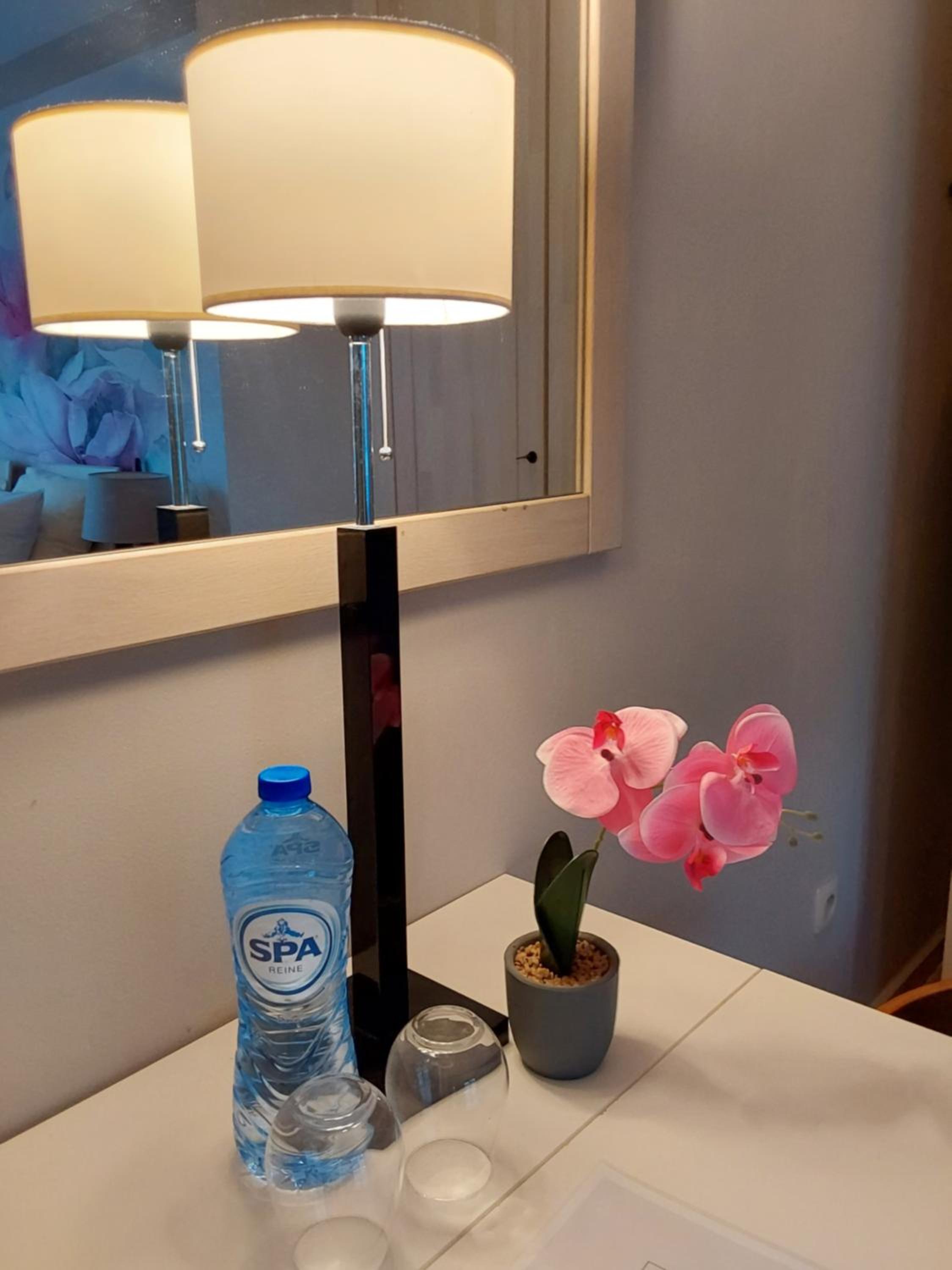 Deluxe Double or Twin Room photo 1