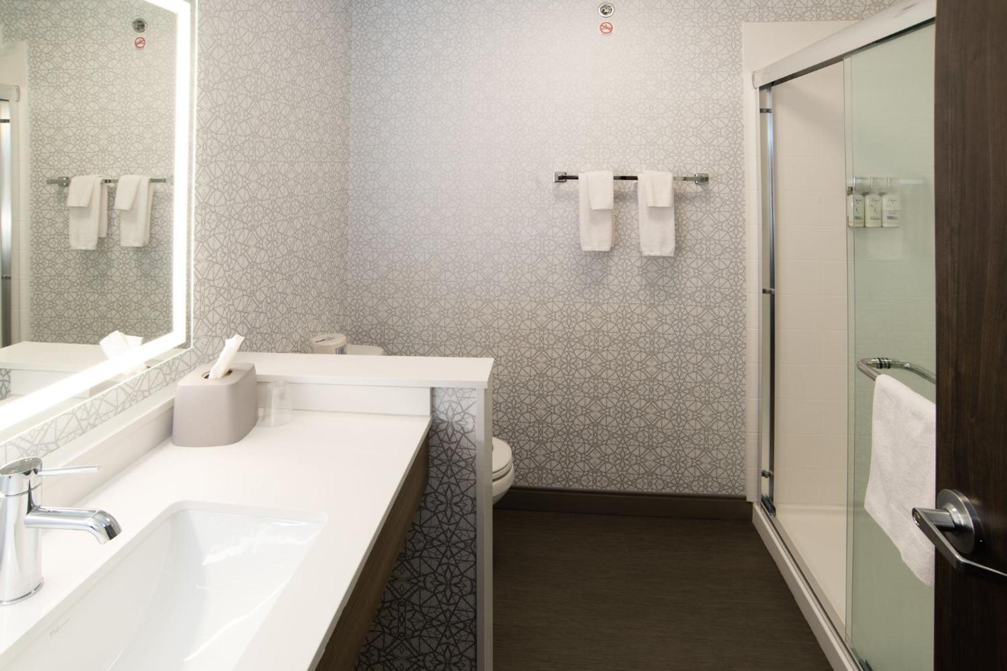 King Suite with Mobility Accessible Tub - Photo 4