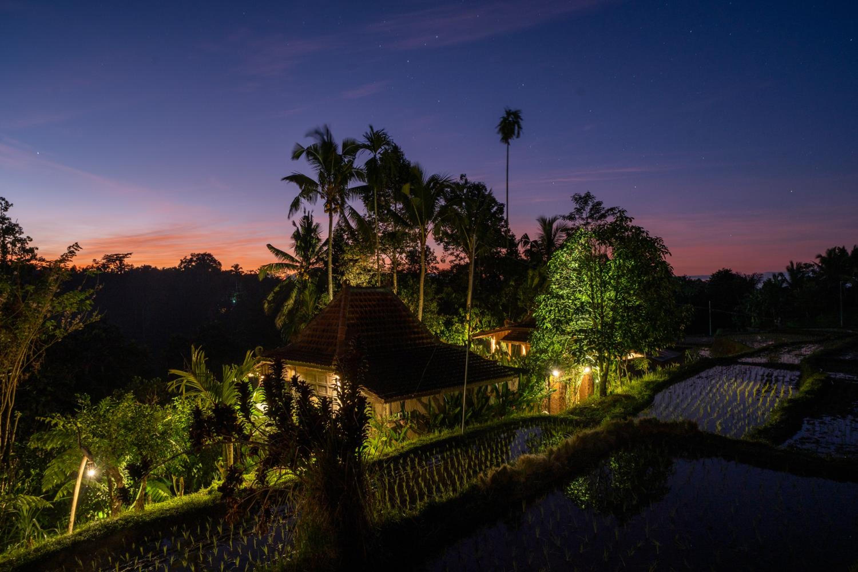 One Bedroom Villa with Jungle View - Photo 5