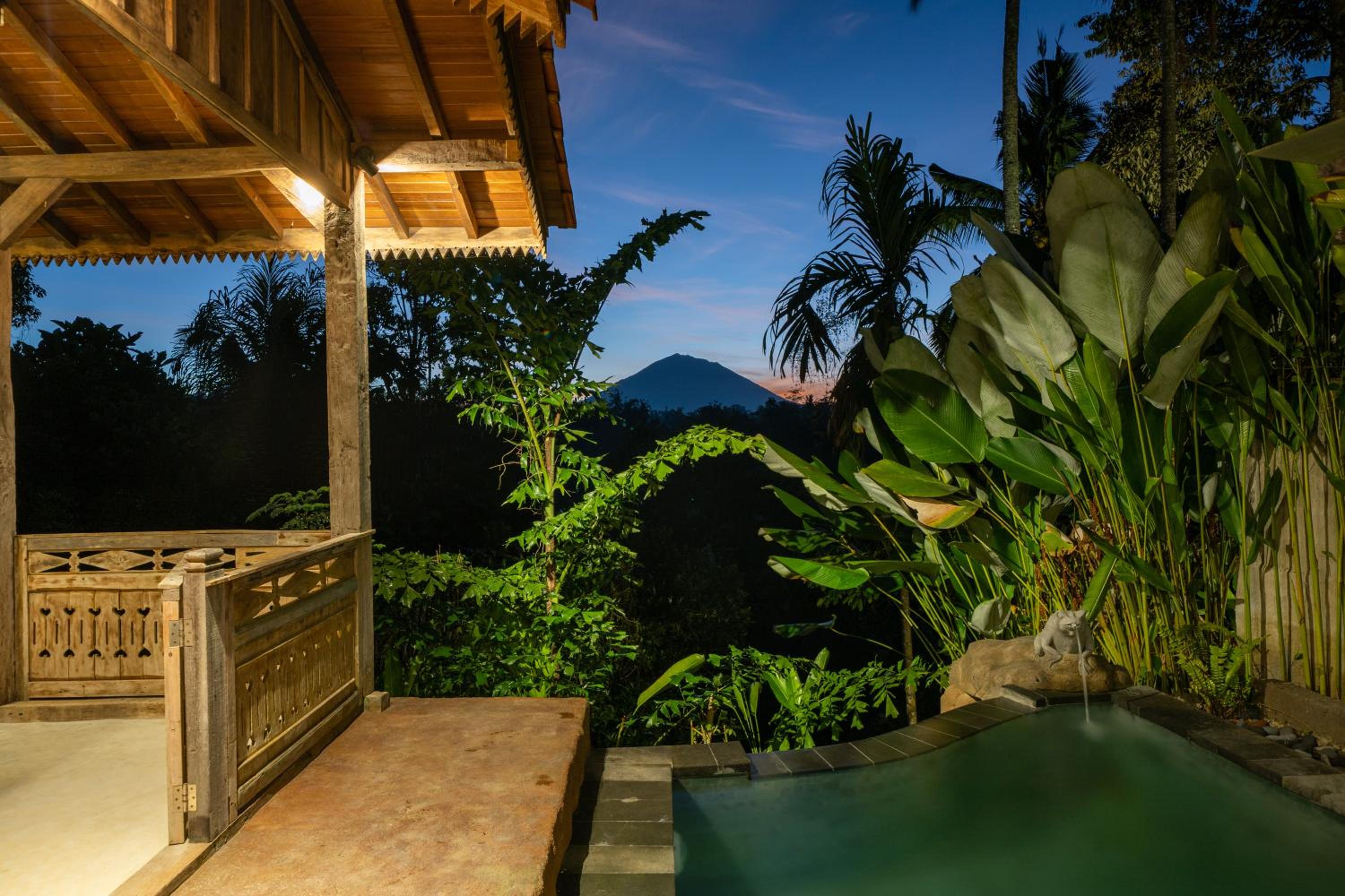 One Bedroom Villa with Jungle View - Photo 8