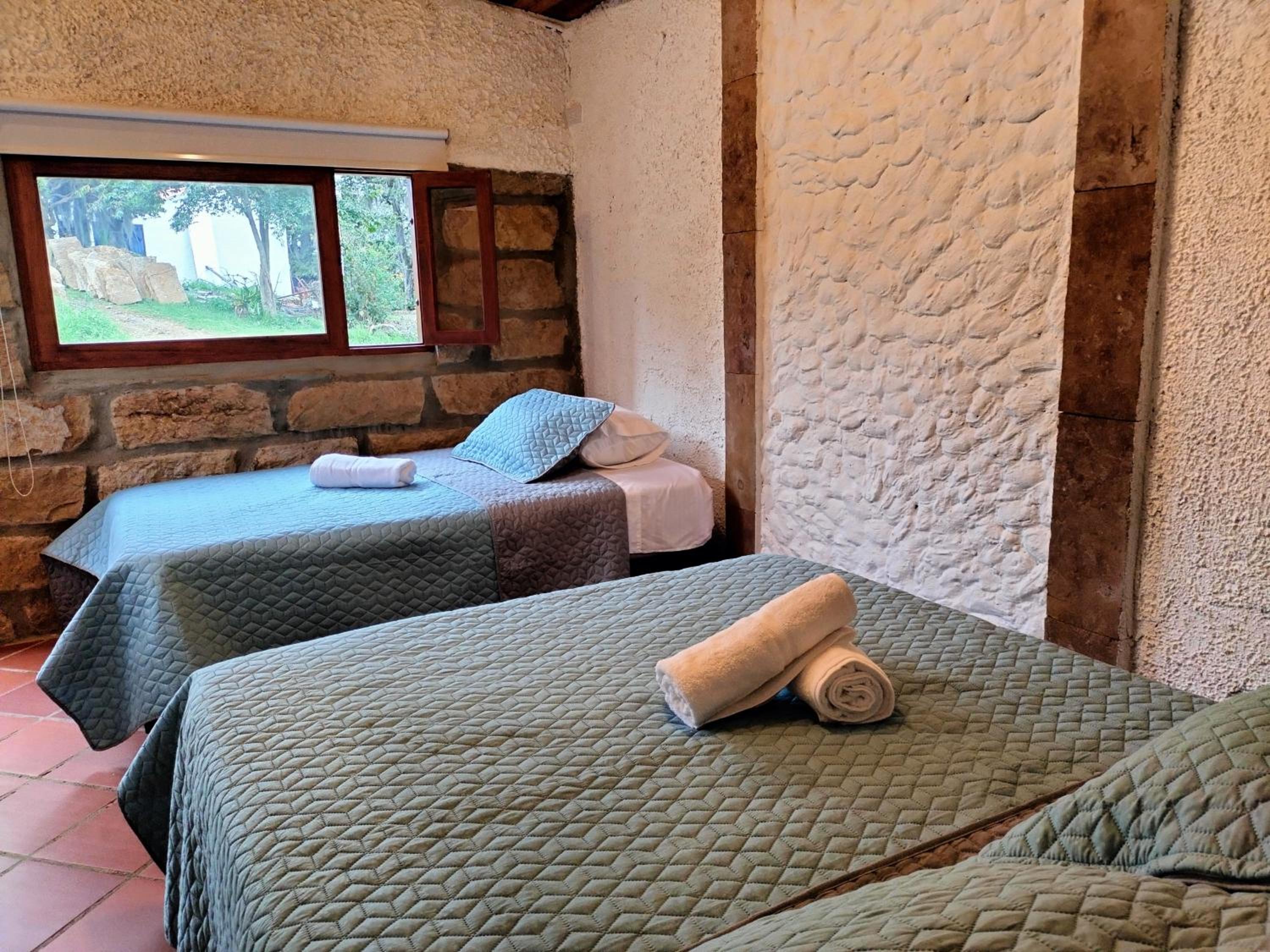 Twin Room photo 1
