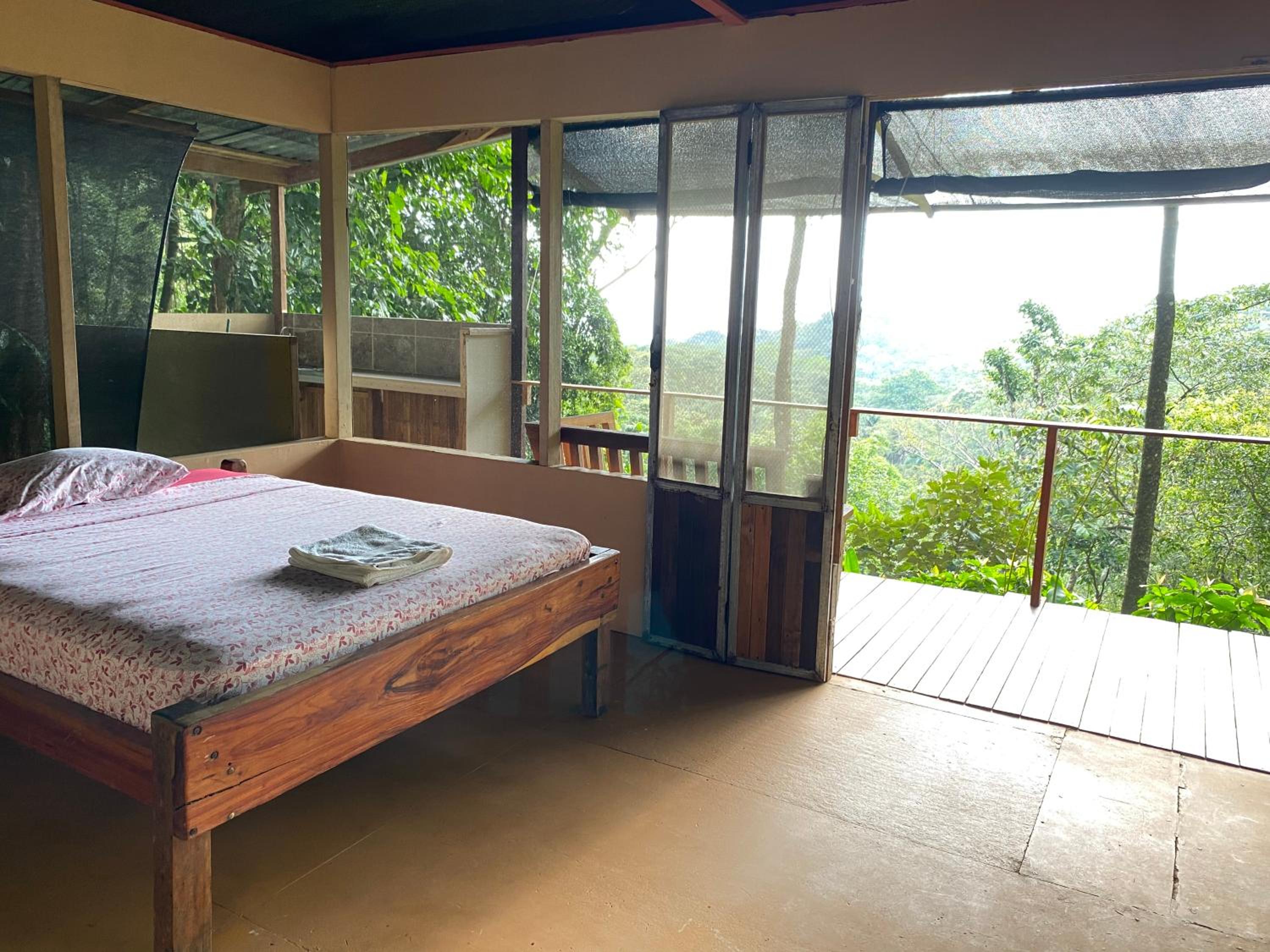 Bungalow with Sea View photo 1