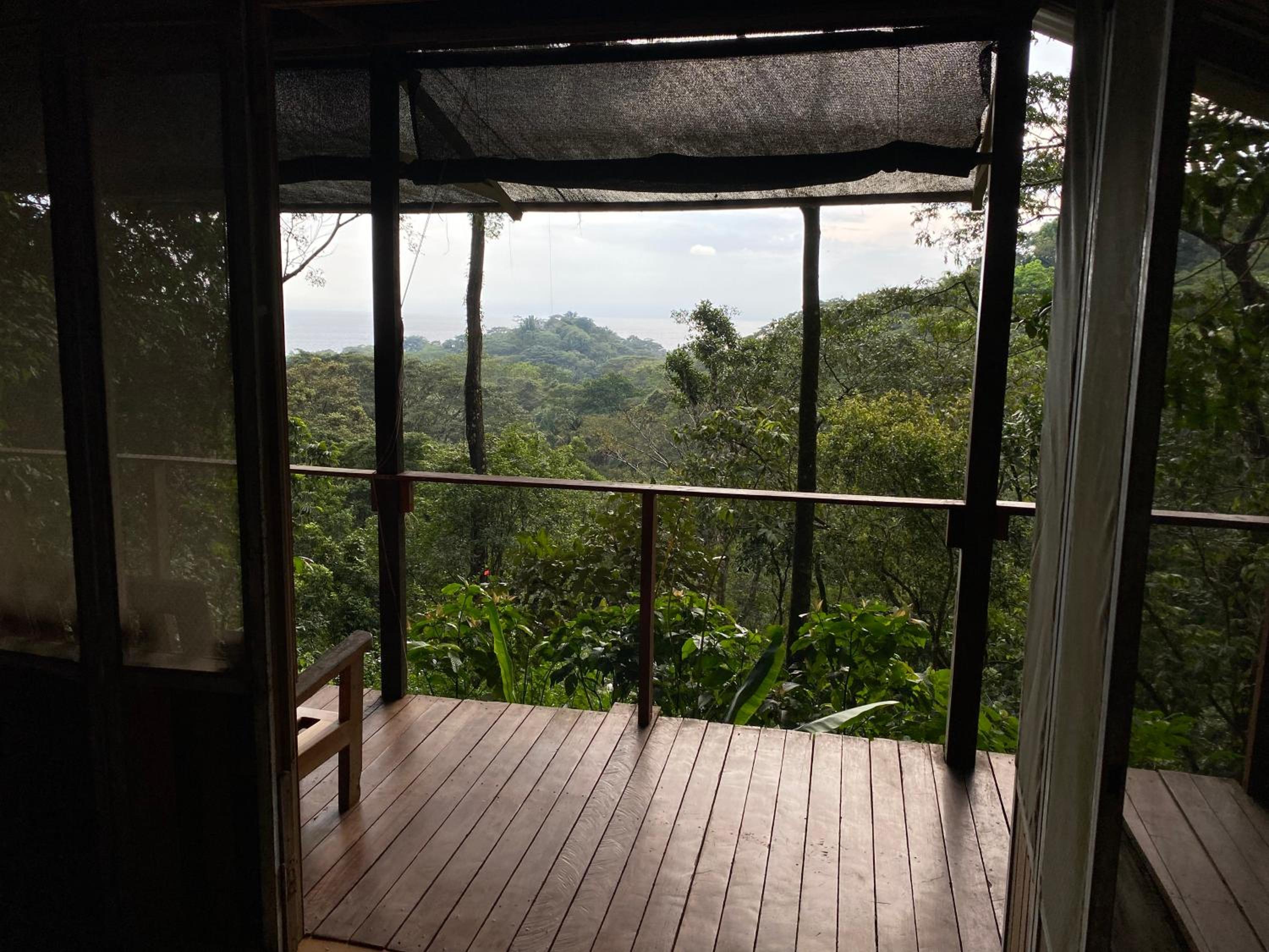 Bungalow with Sea View photo 3