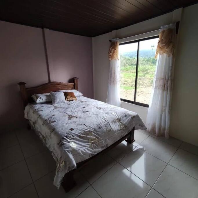 One-Bedroom House photo 1