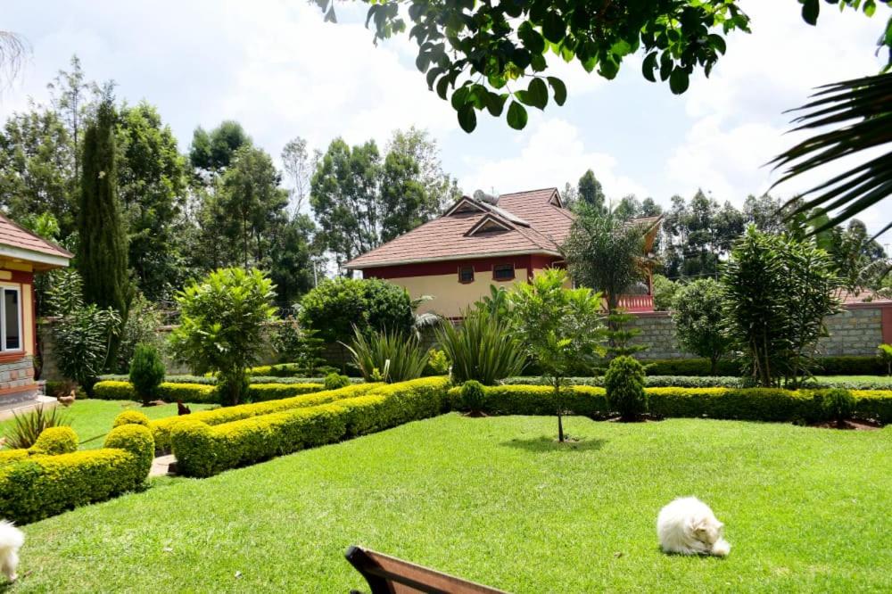 Family Bungalow photo 2