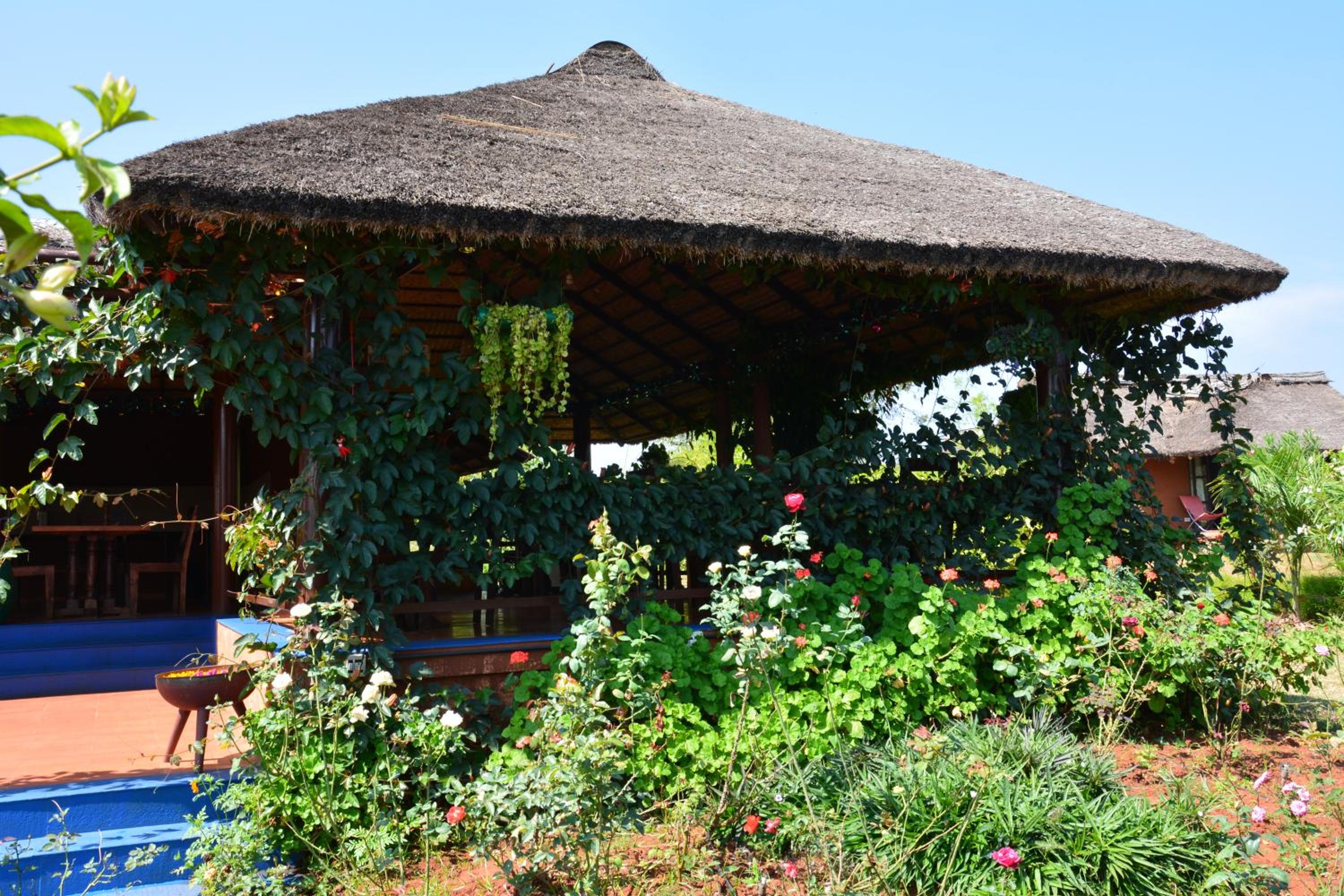 Luxury Cottage - Photo 13