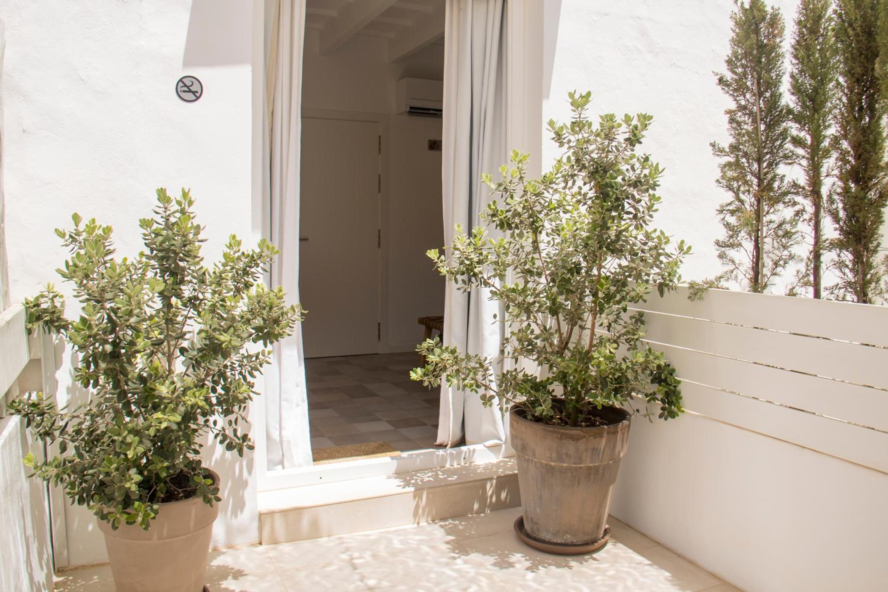 Double Room with Terrace