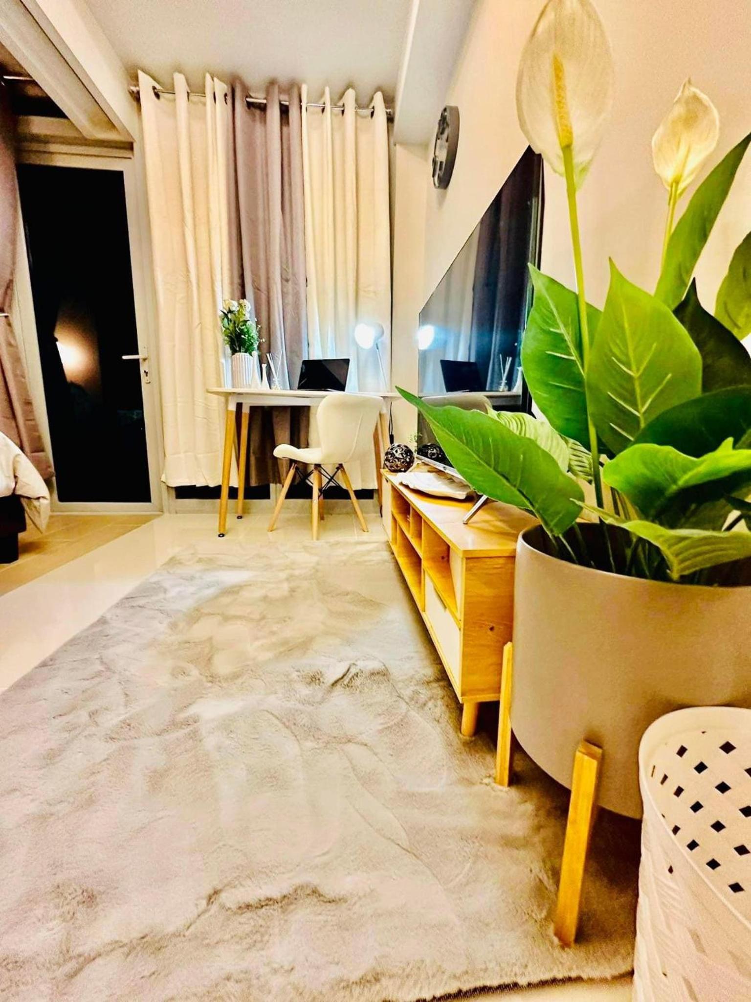 One-Bedroom Apartment photo 2