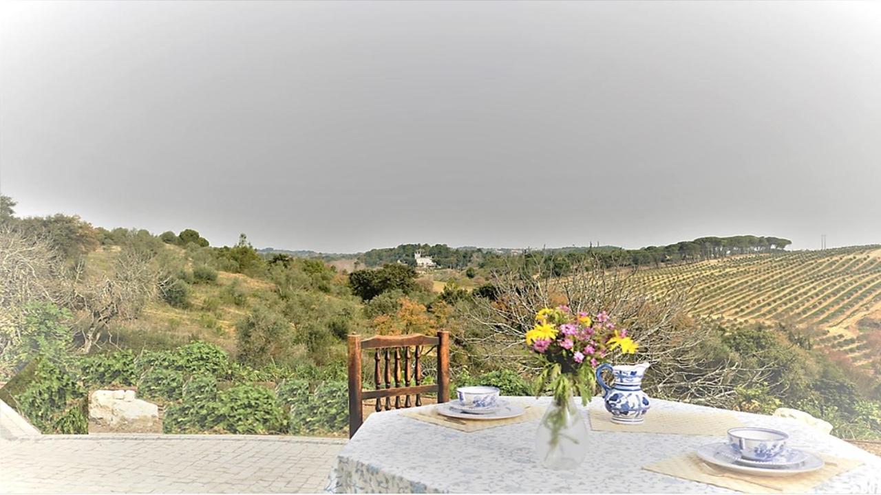 Apartment with Terrace photo 3