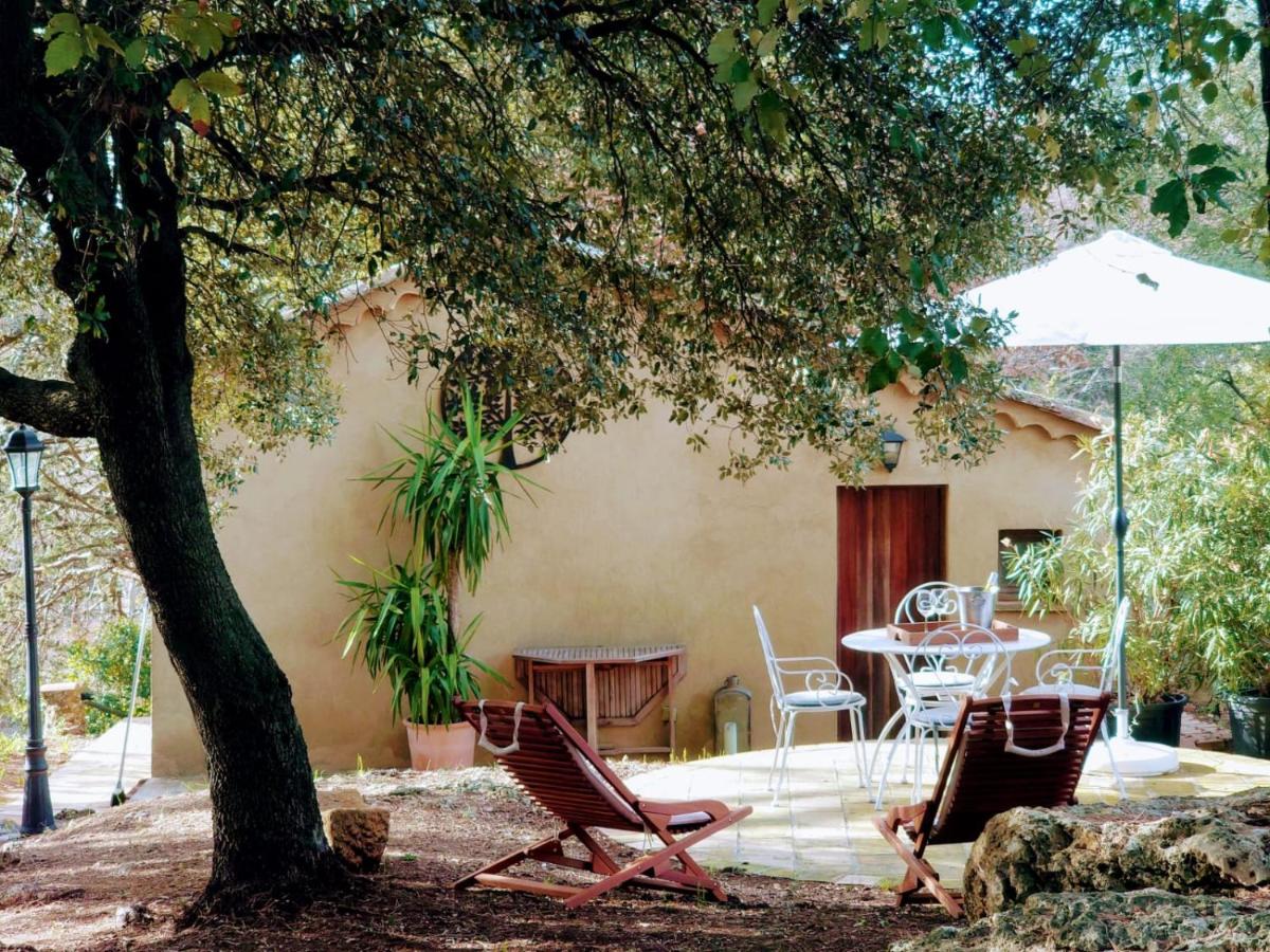 Studio with Garden View - Photo 1
