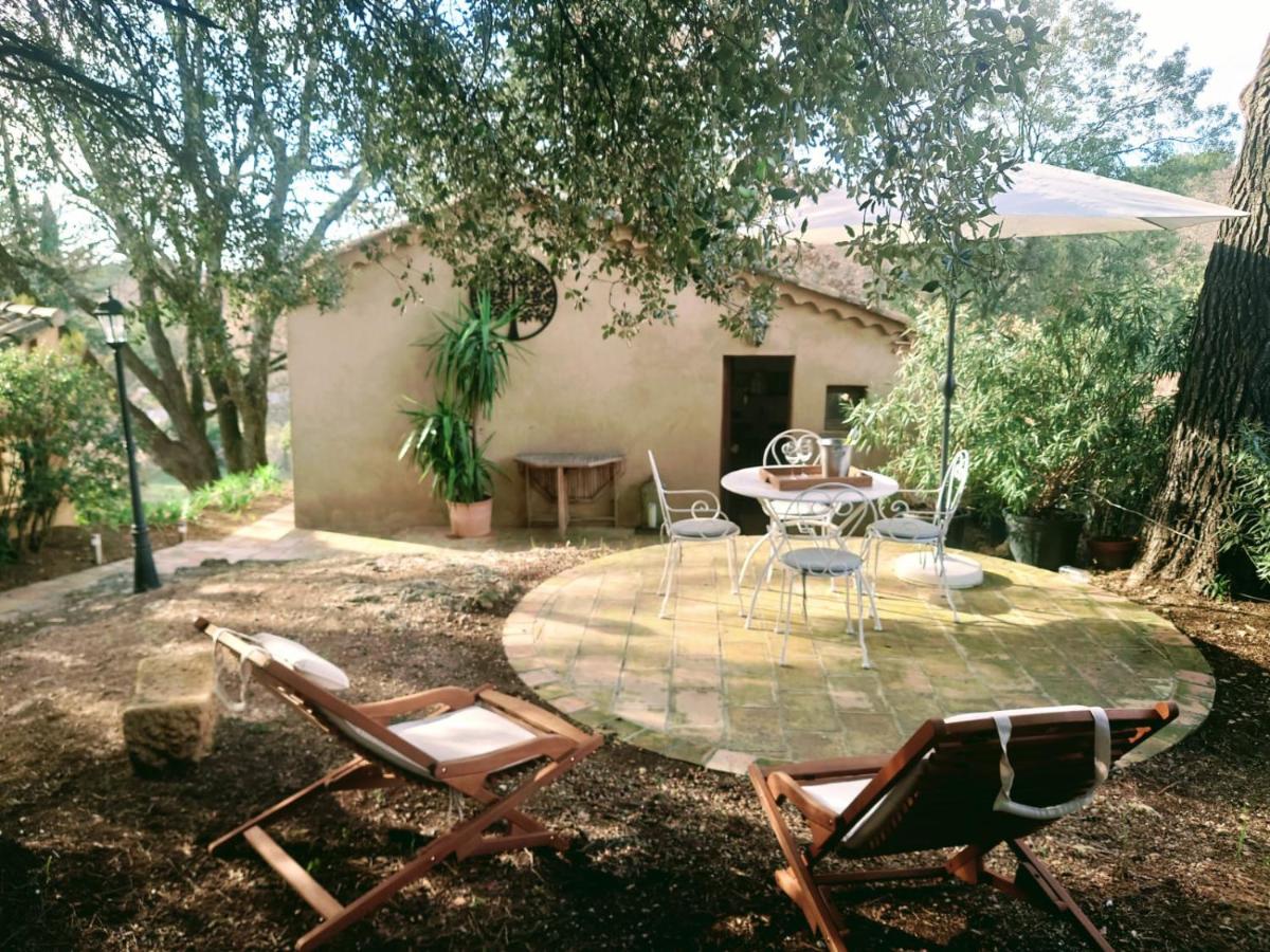Studio with Garden View - Photo 2