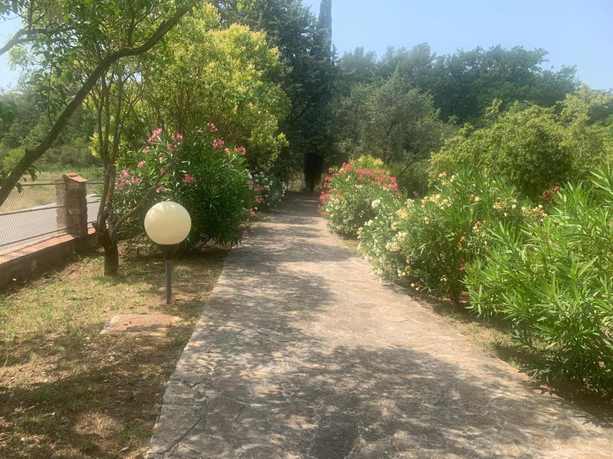 Studio with Garden View - Photo 10