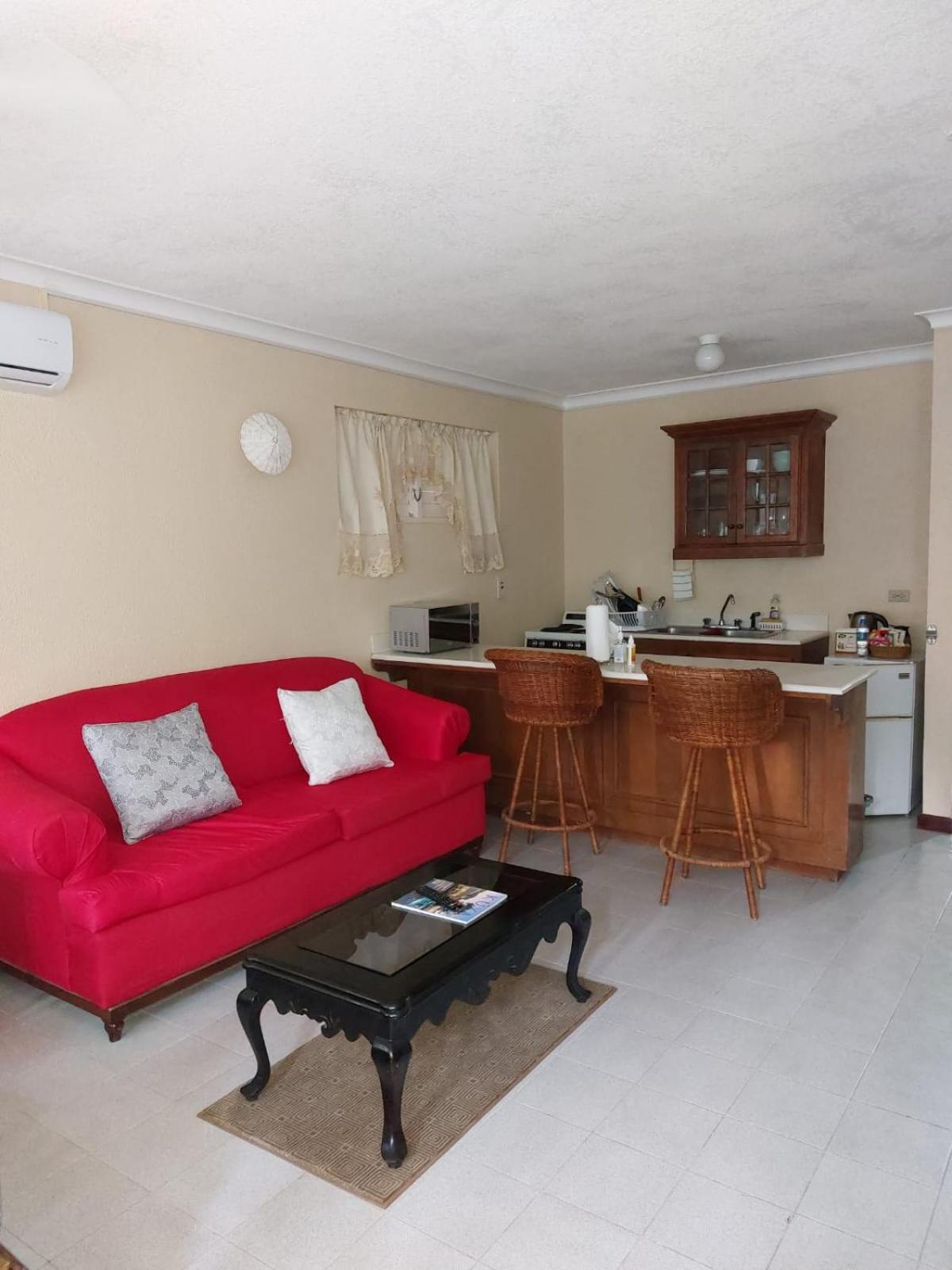 One-Bedroom Apartment photo 2