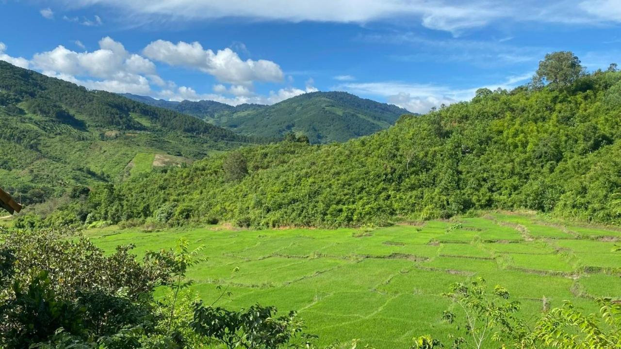 Deluxe Bungalow photo 3