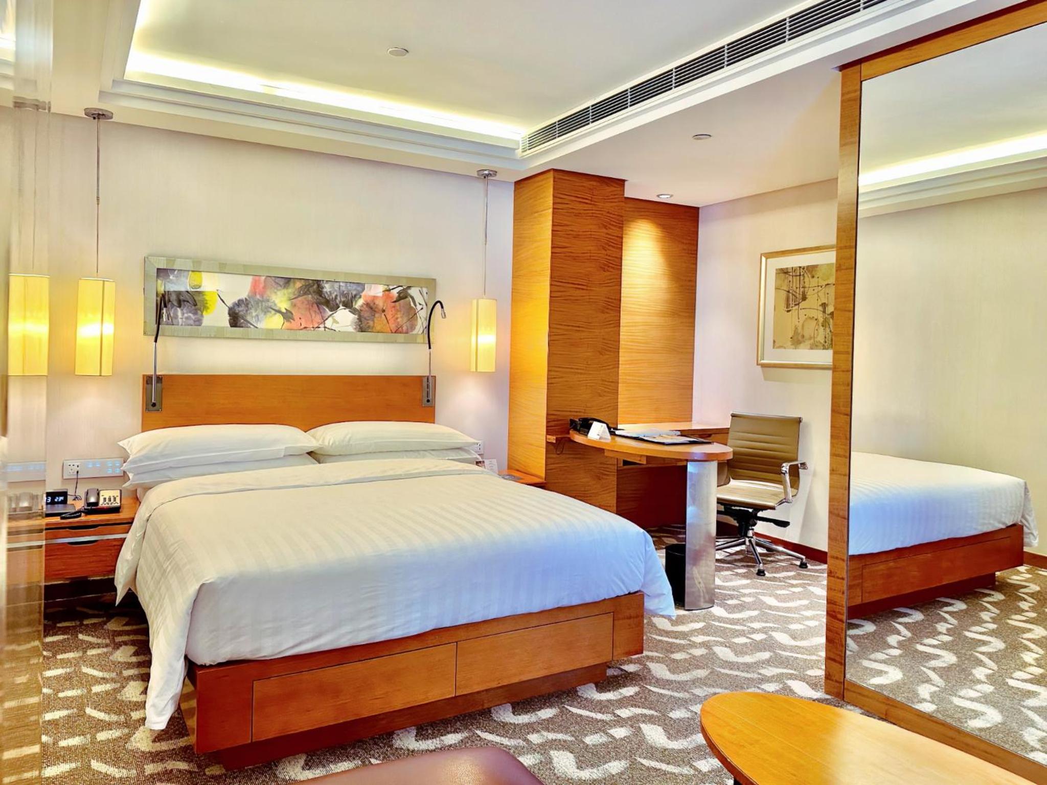 Premier King Bed Room - Photo 13