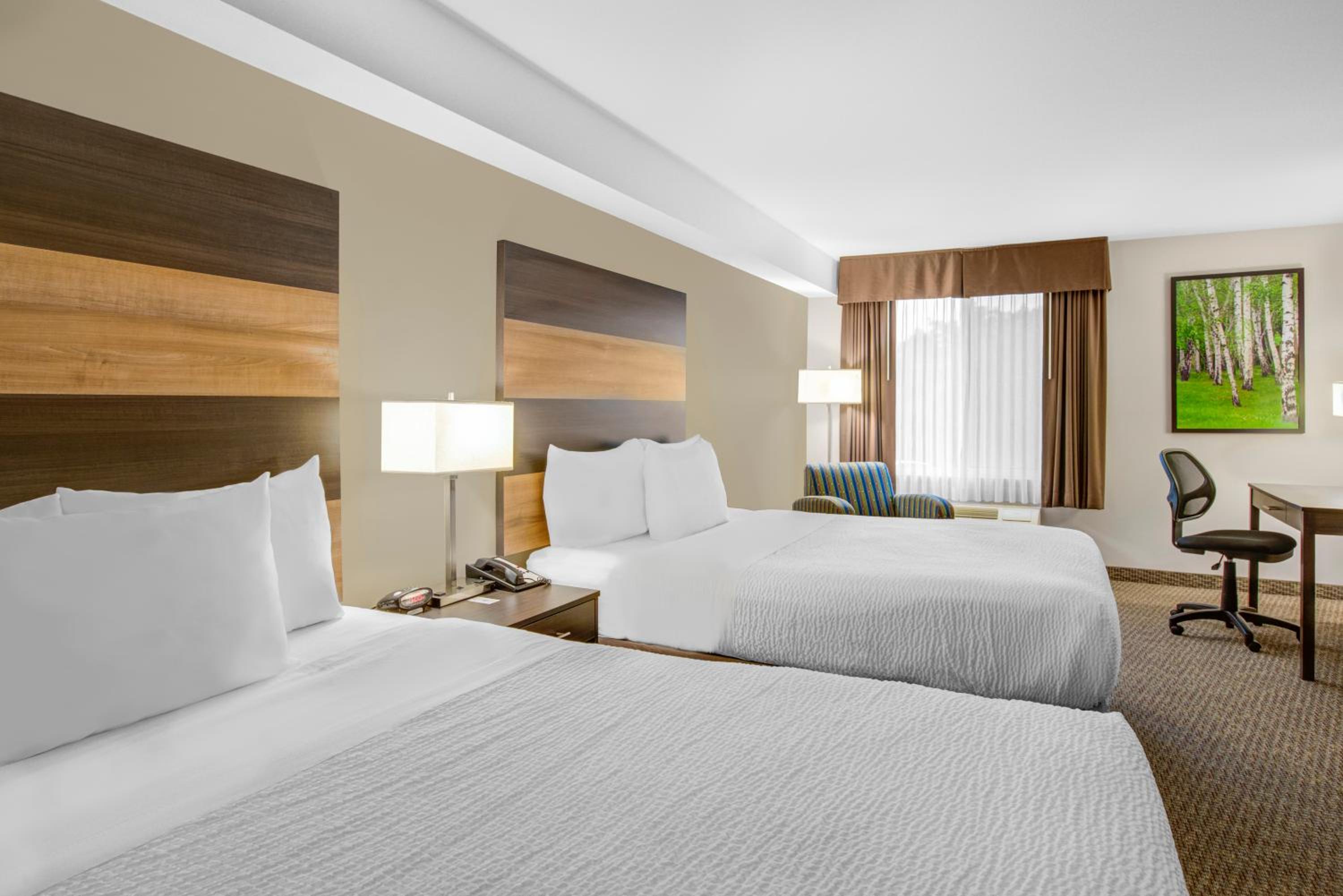 Queen Room with Two Queen Beds - Non-Smoking photo 2