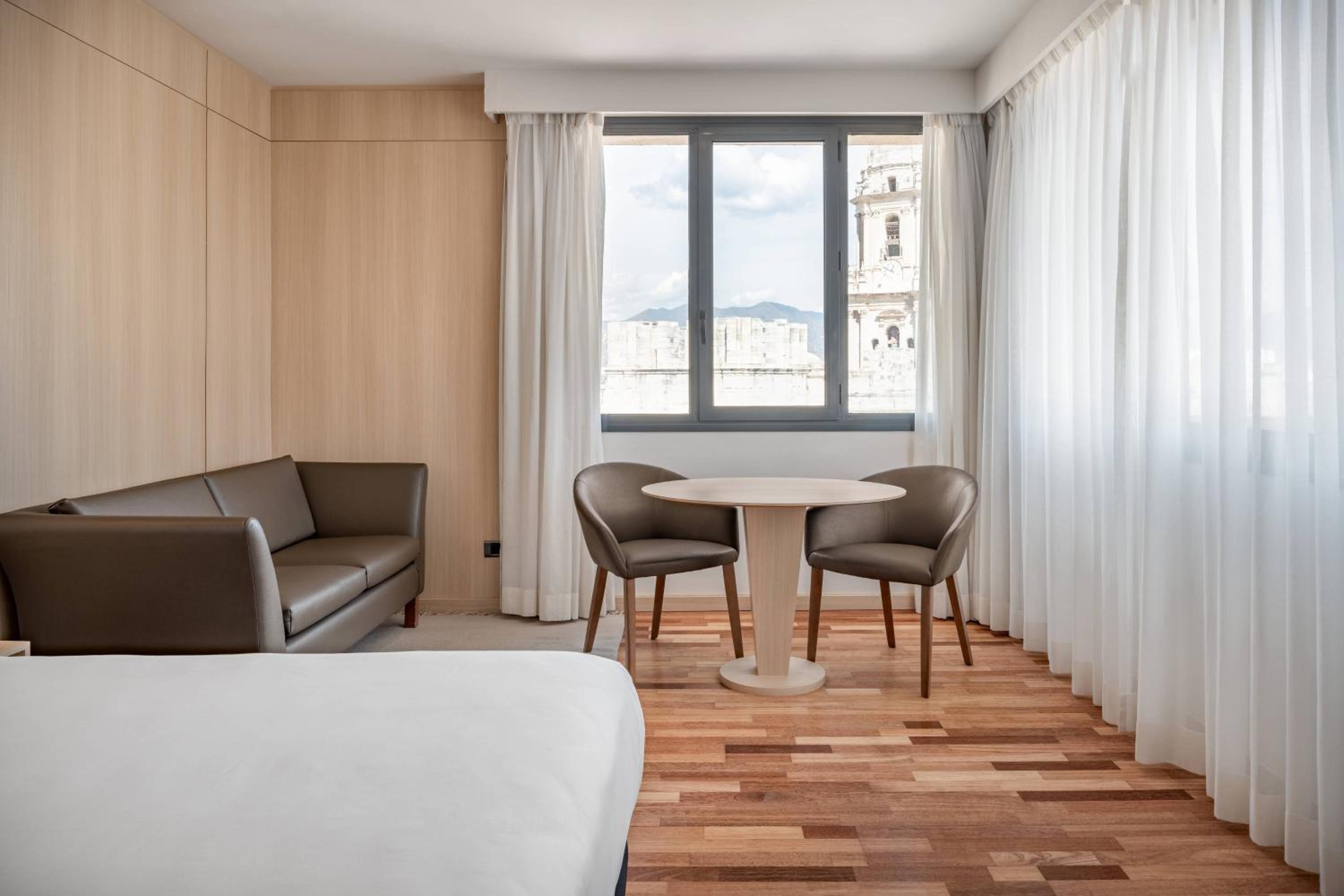Vista estándar, Habitación de huéspedes, 1 cama king