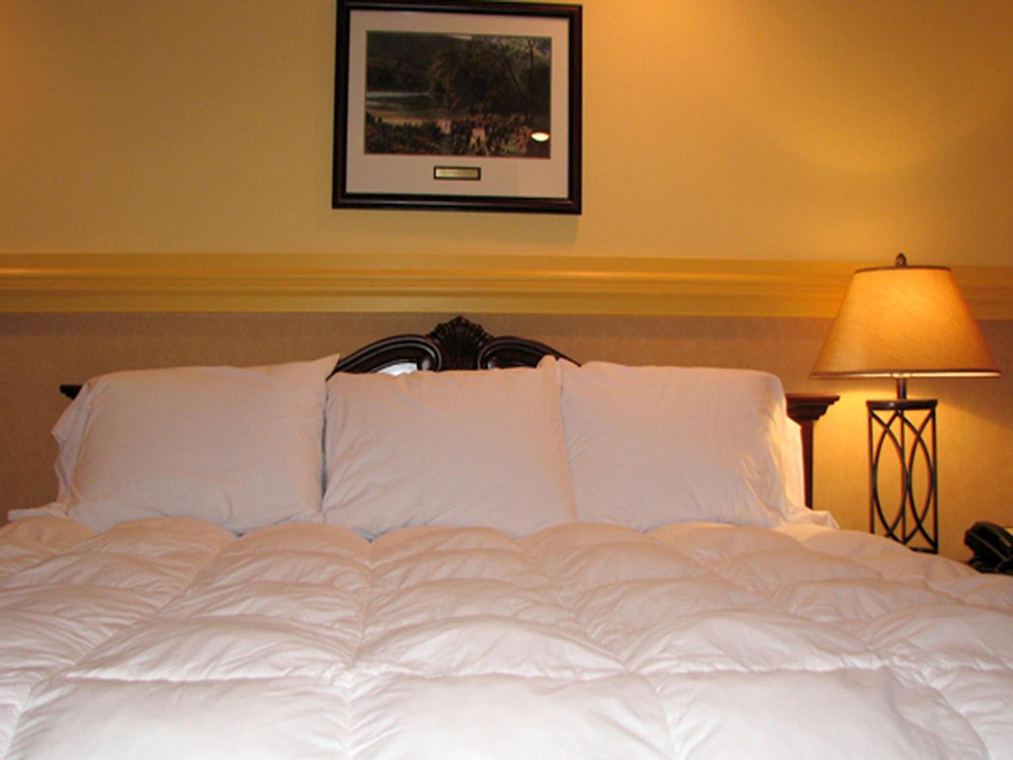 Standard Double Room - Photo 6