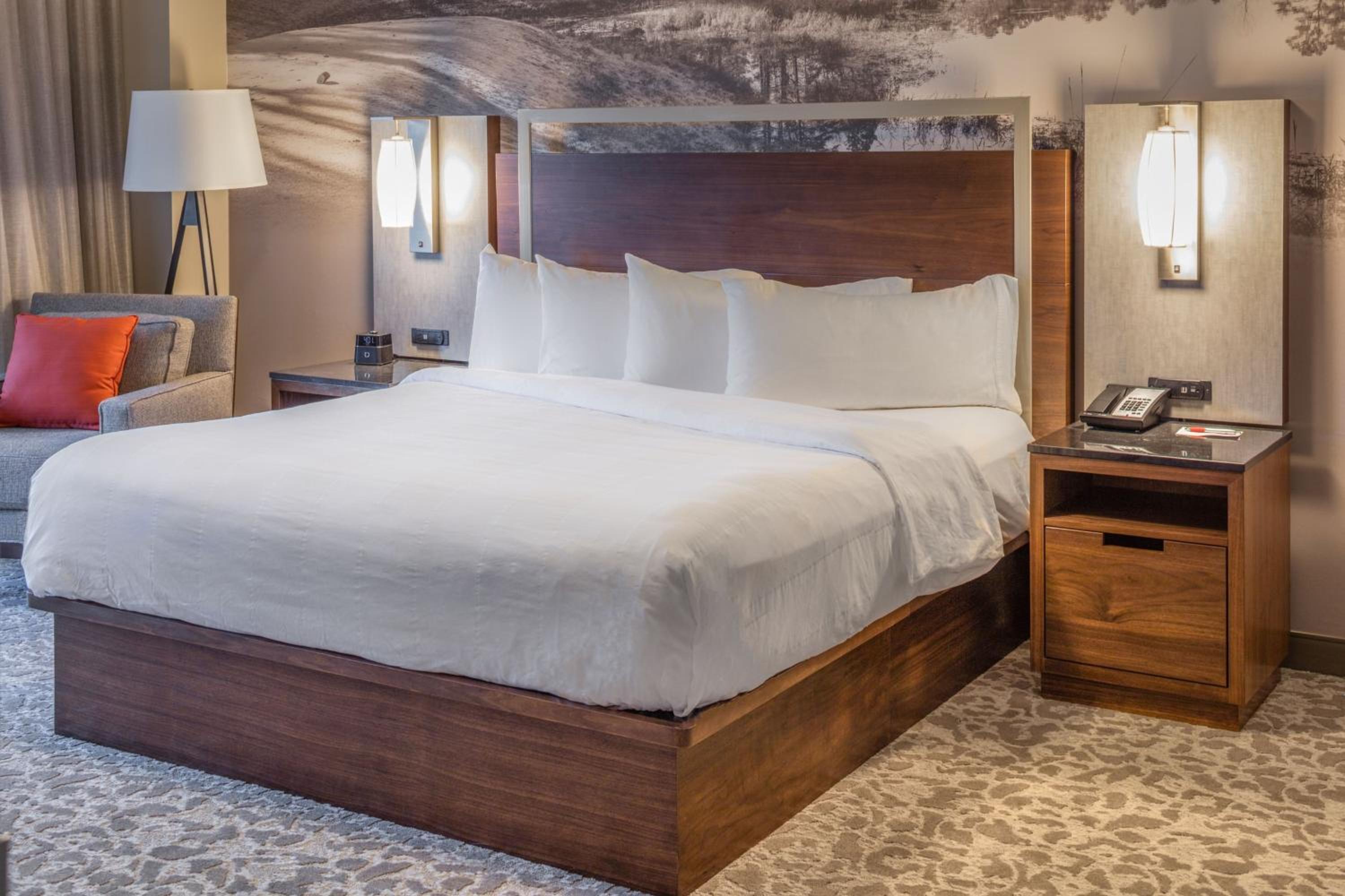 Guest Room with One King Bed - Photo 3