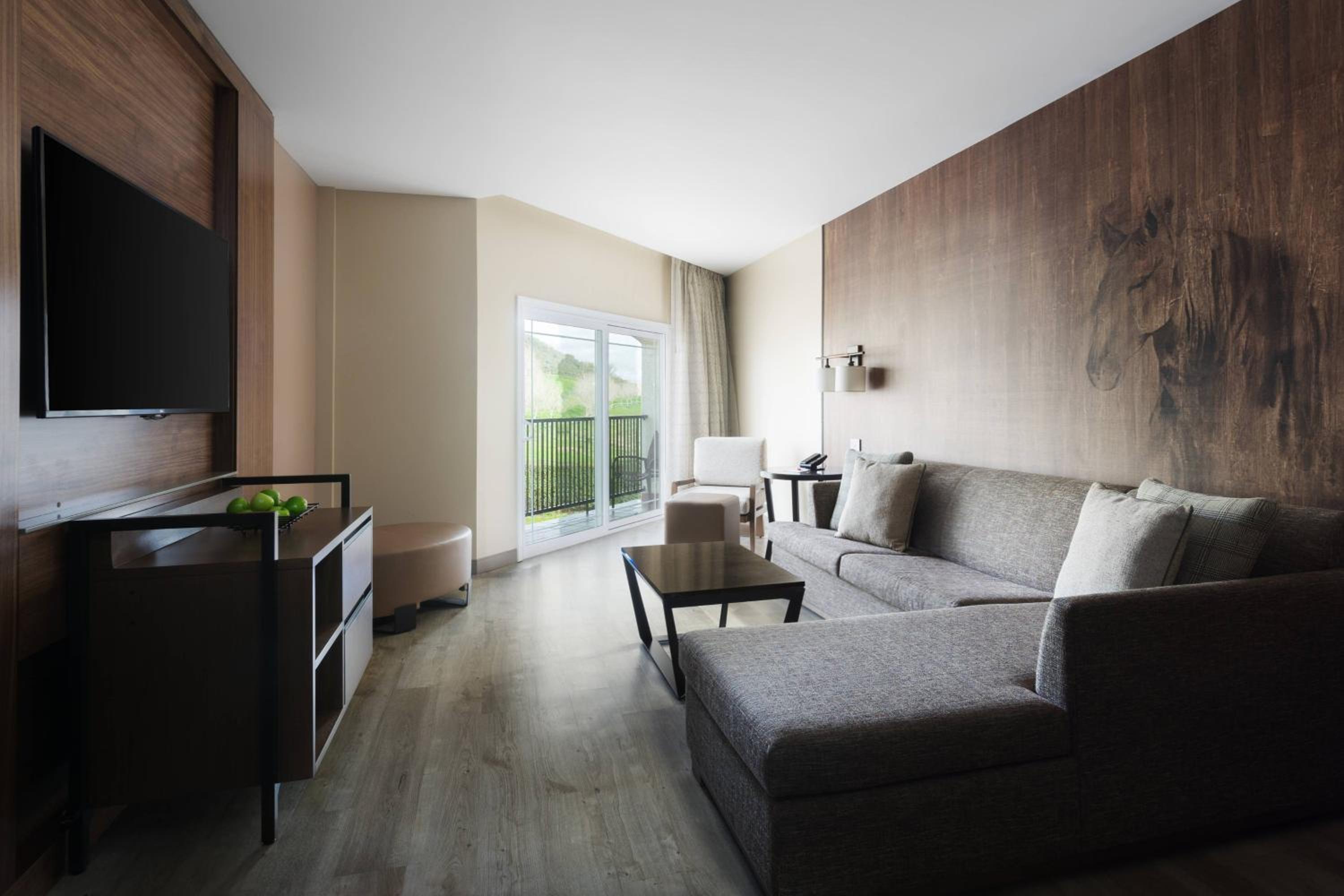 King Suite with Sofa Bed - Photo 2