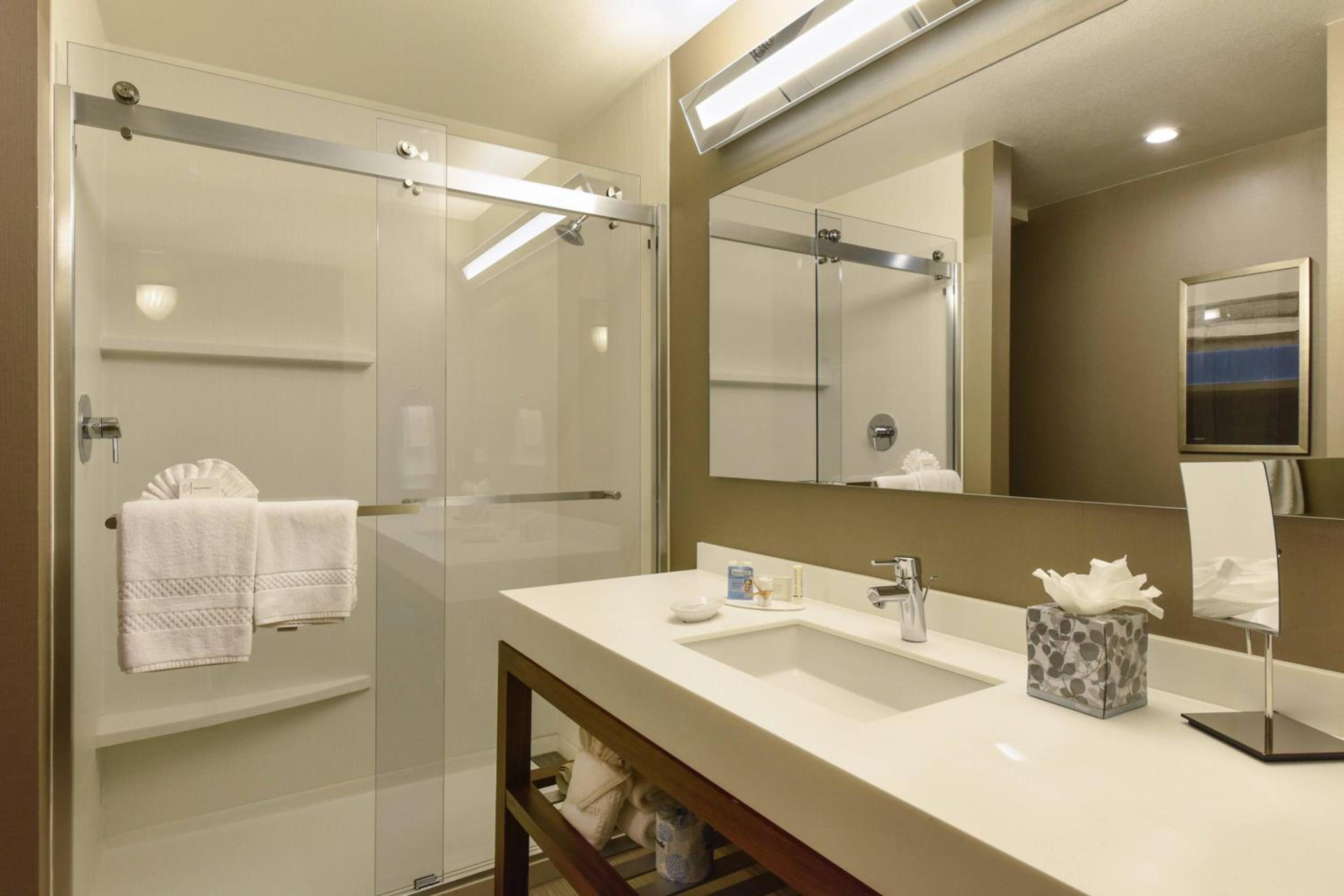 King Room with Sofa Bed and Roll-in Shower - Mobility and Hearing Accessible