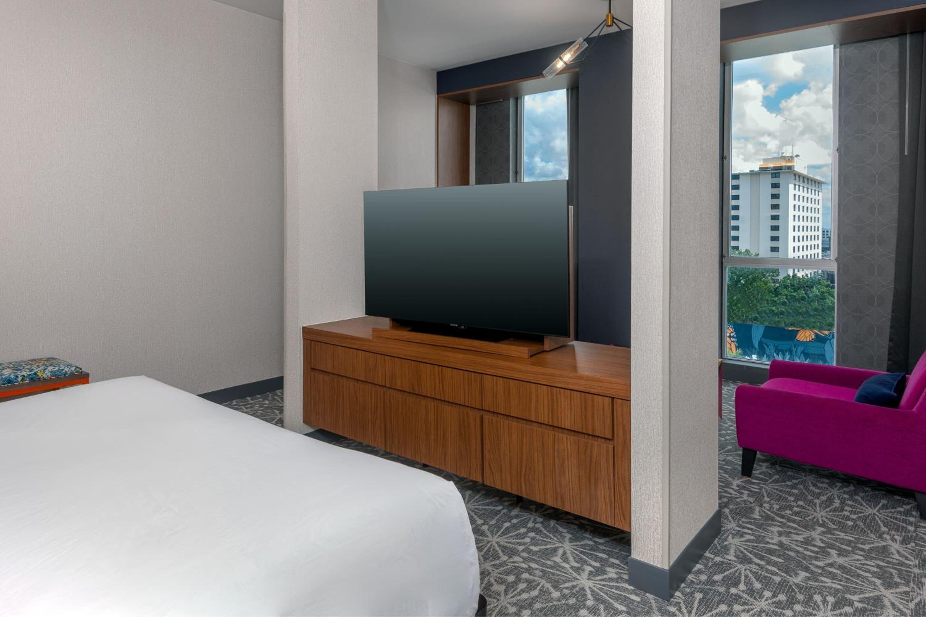 King Suite - Mobility and Hearing Accessible with Roll-in Shower