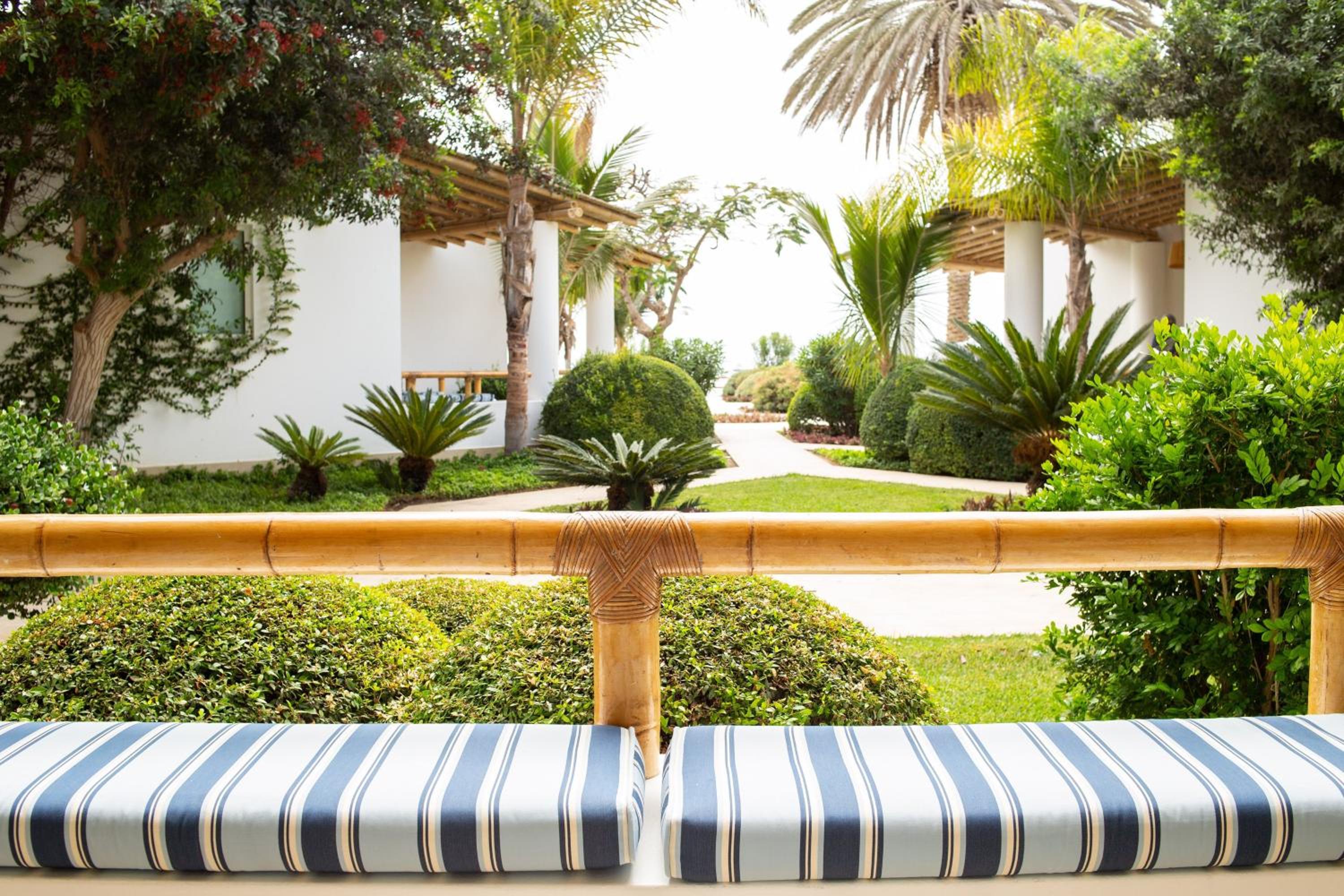 Terrace, Suite, 1 King, Sofa Bed, Garden View - Photo 4