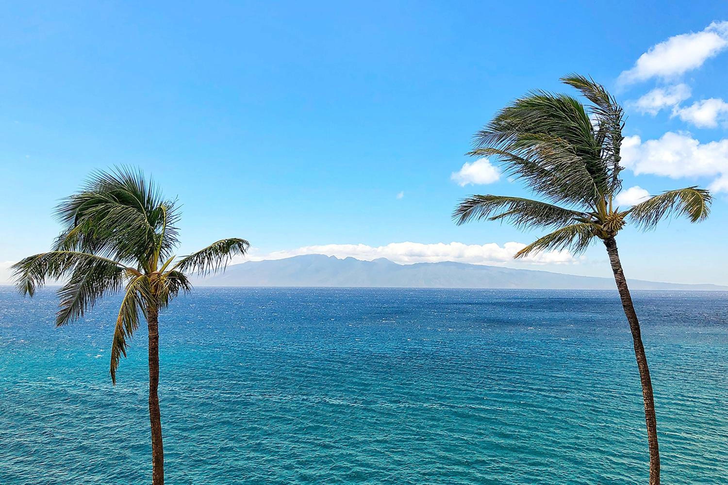 Moana Ocean Front King thumbnail 5