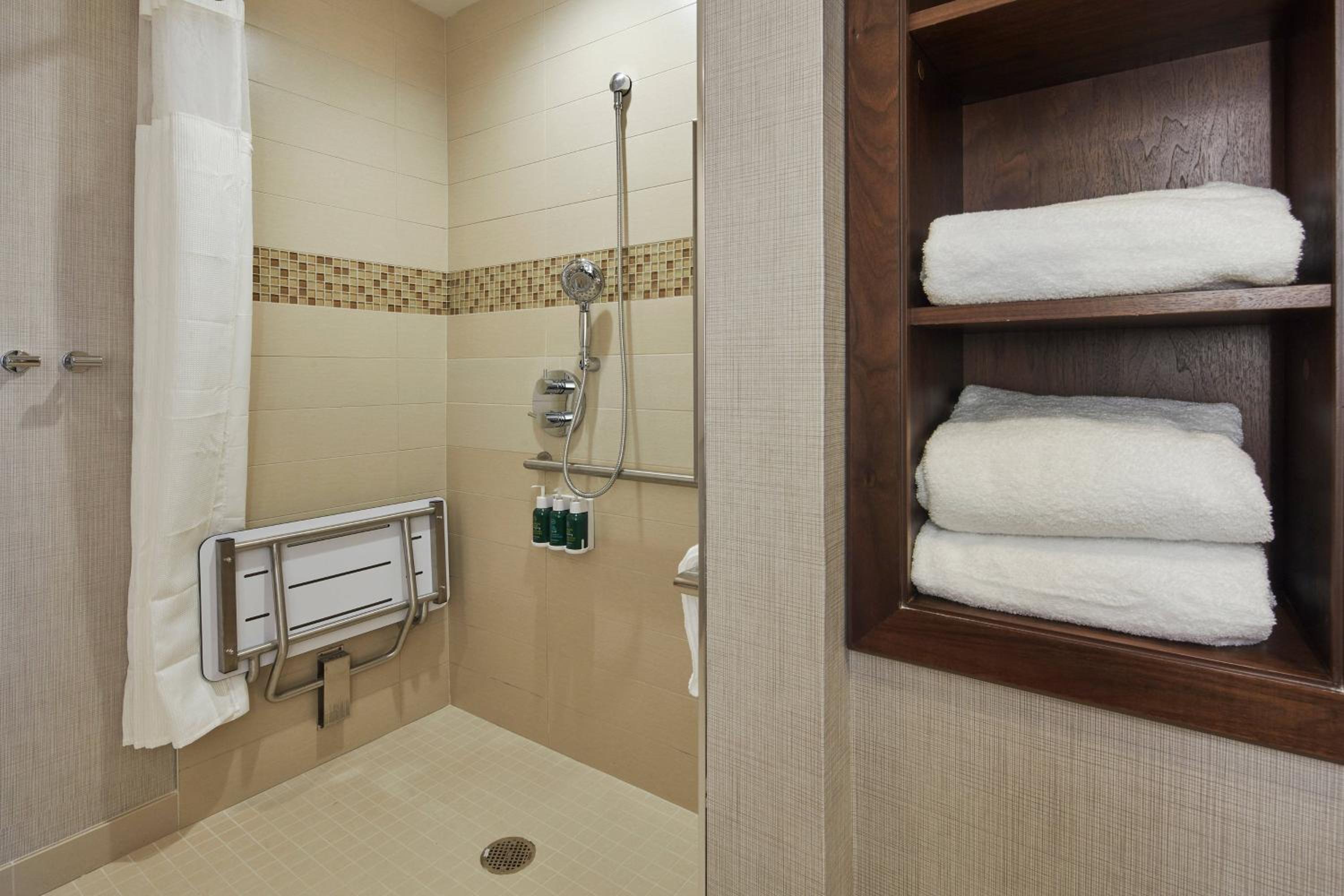 1 Bedroom Suite, 1 King, Sofa bed - Photo 2