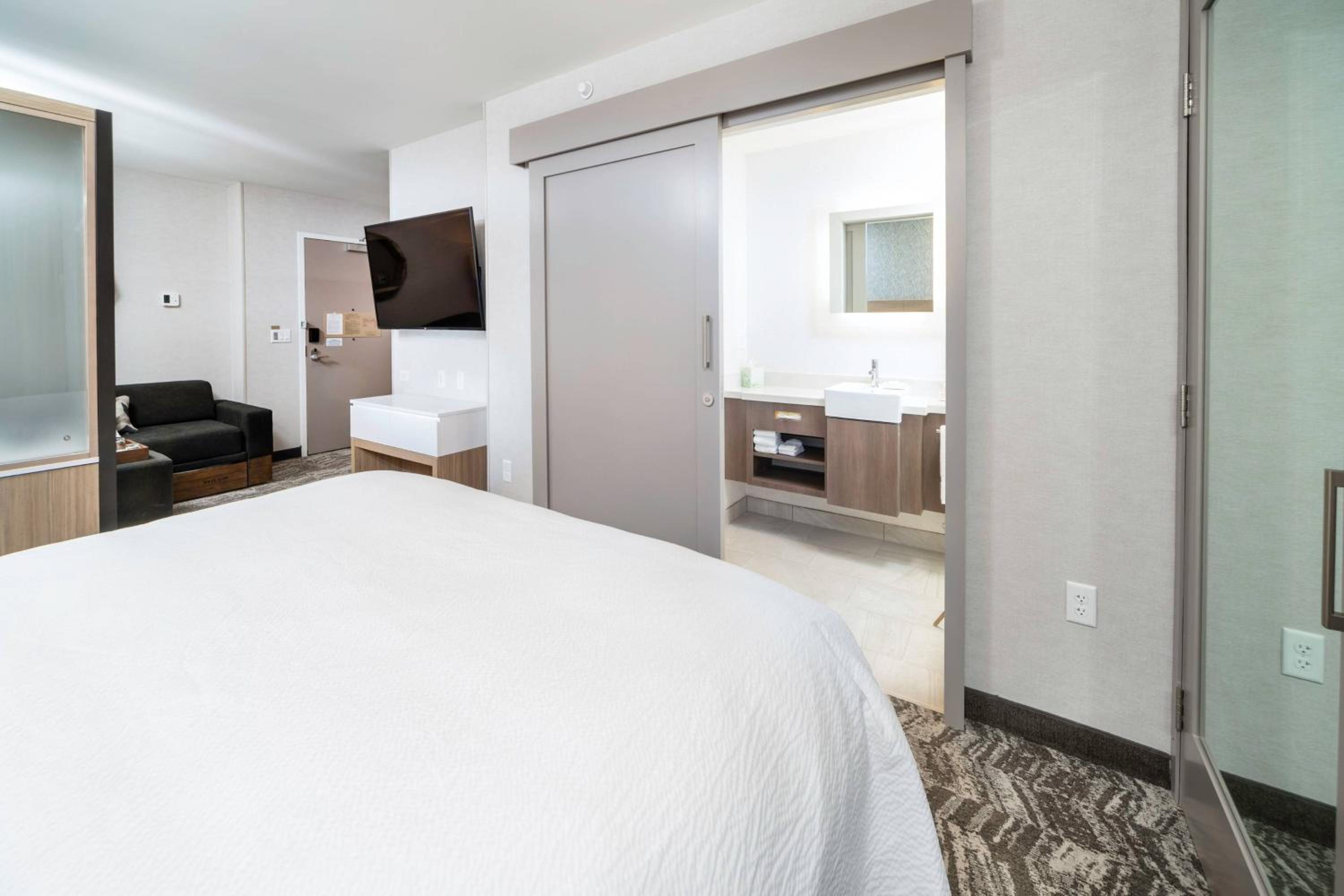 Suite, 1 King, Sofa bed, Trundle bed - Photo 6