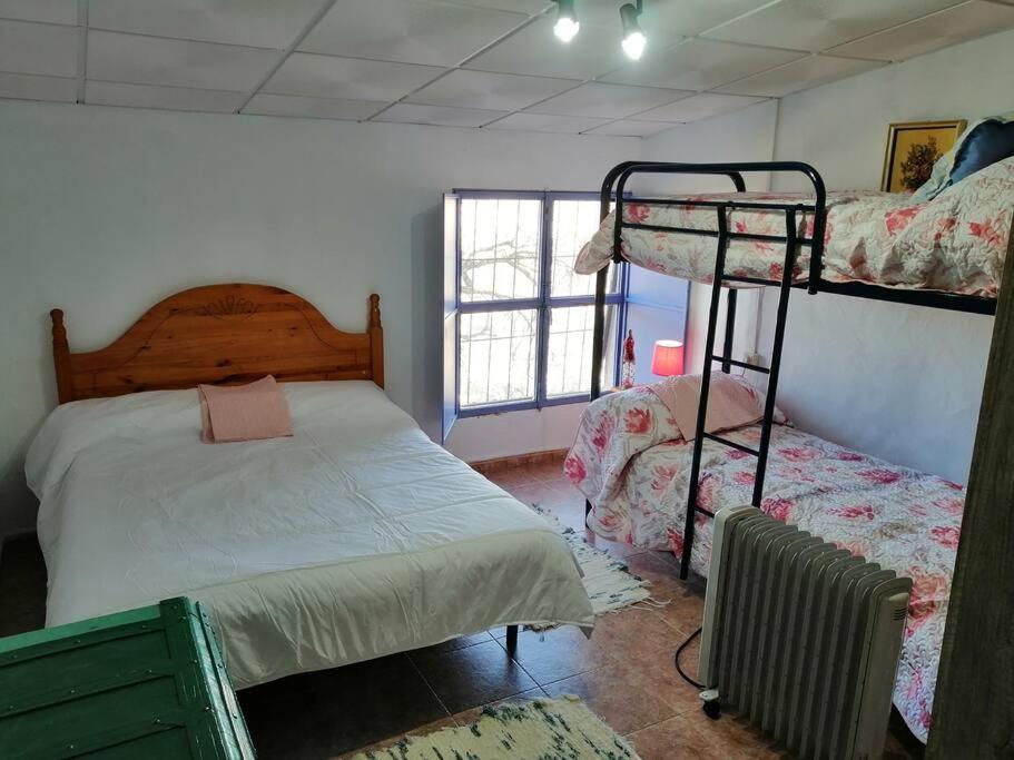 Casa de una habitación