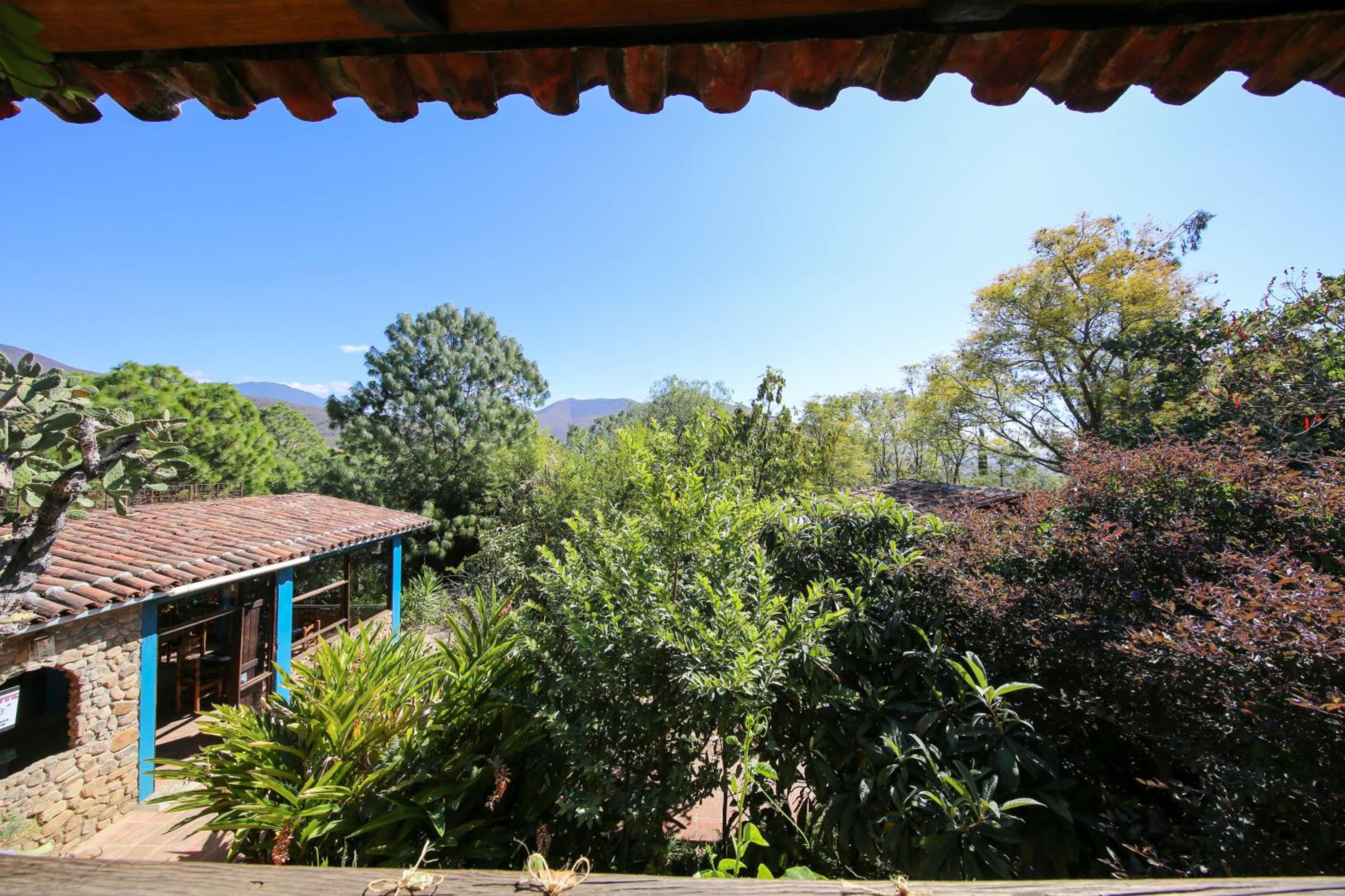 Double Room - Photo 5