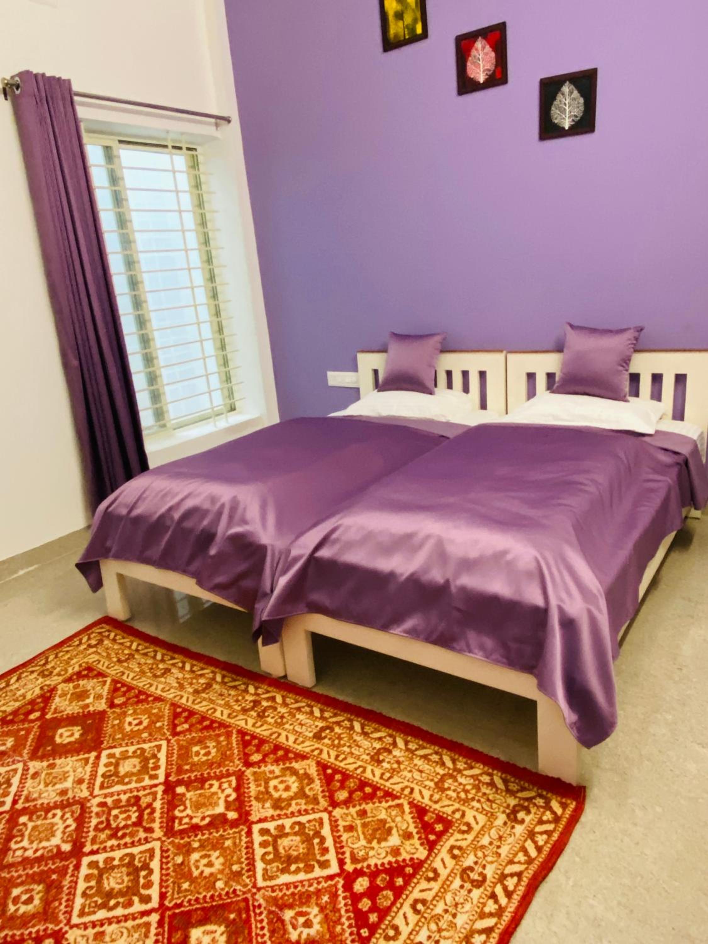 Budget Double or Twin Room photo 2