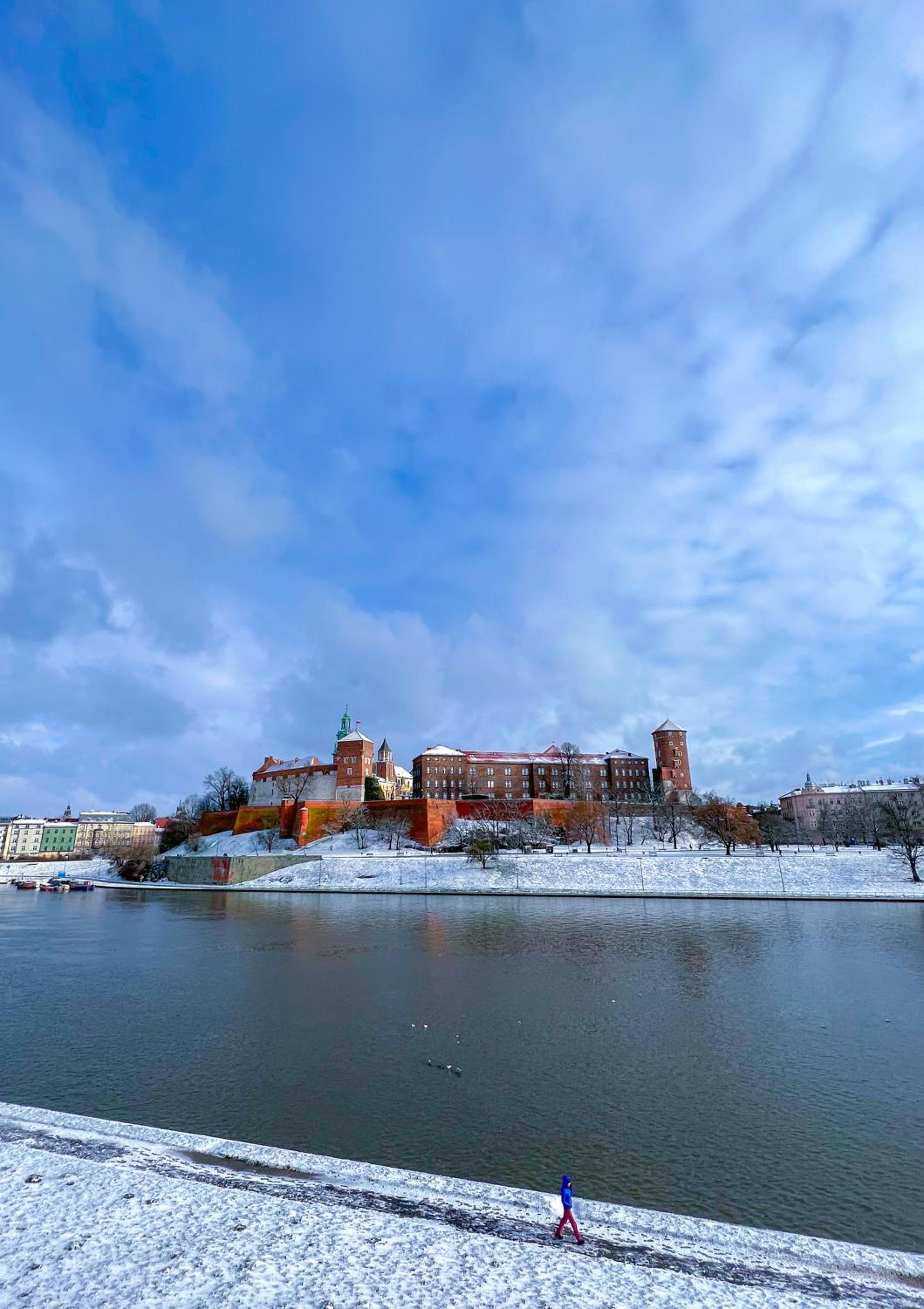 Double or Twin  Room with Wawel Castle View - Photo 15