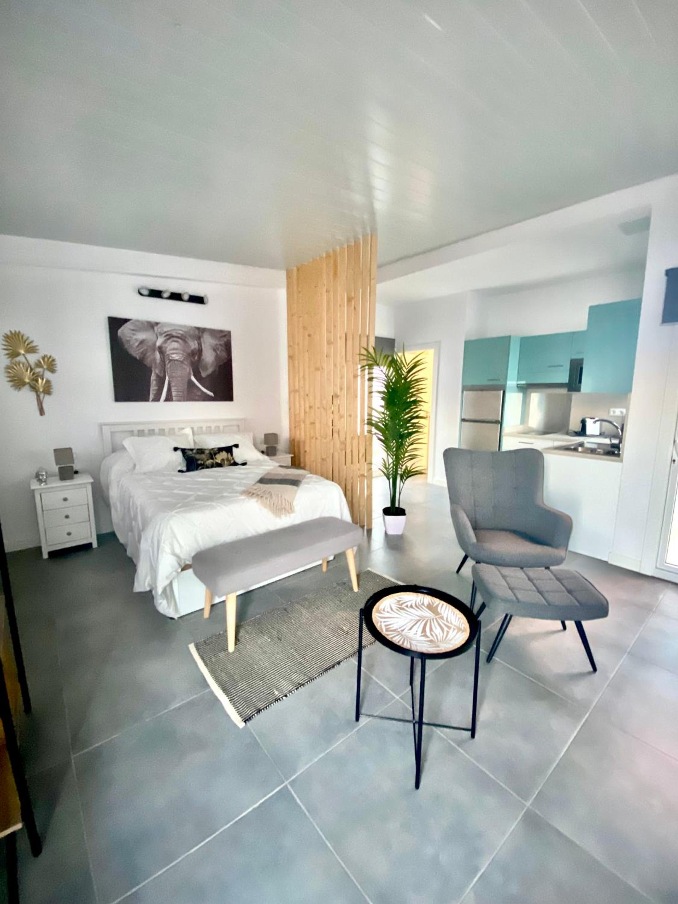 Estudio con terraza