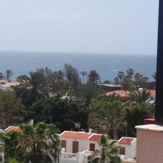 Studio with Sea View photo 2
