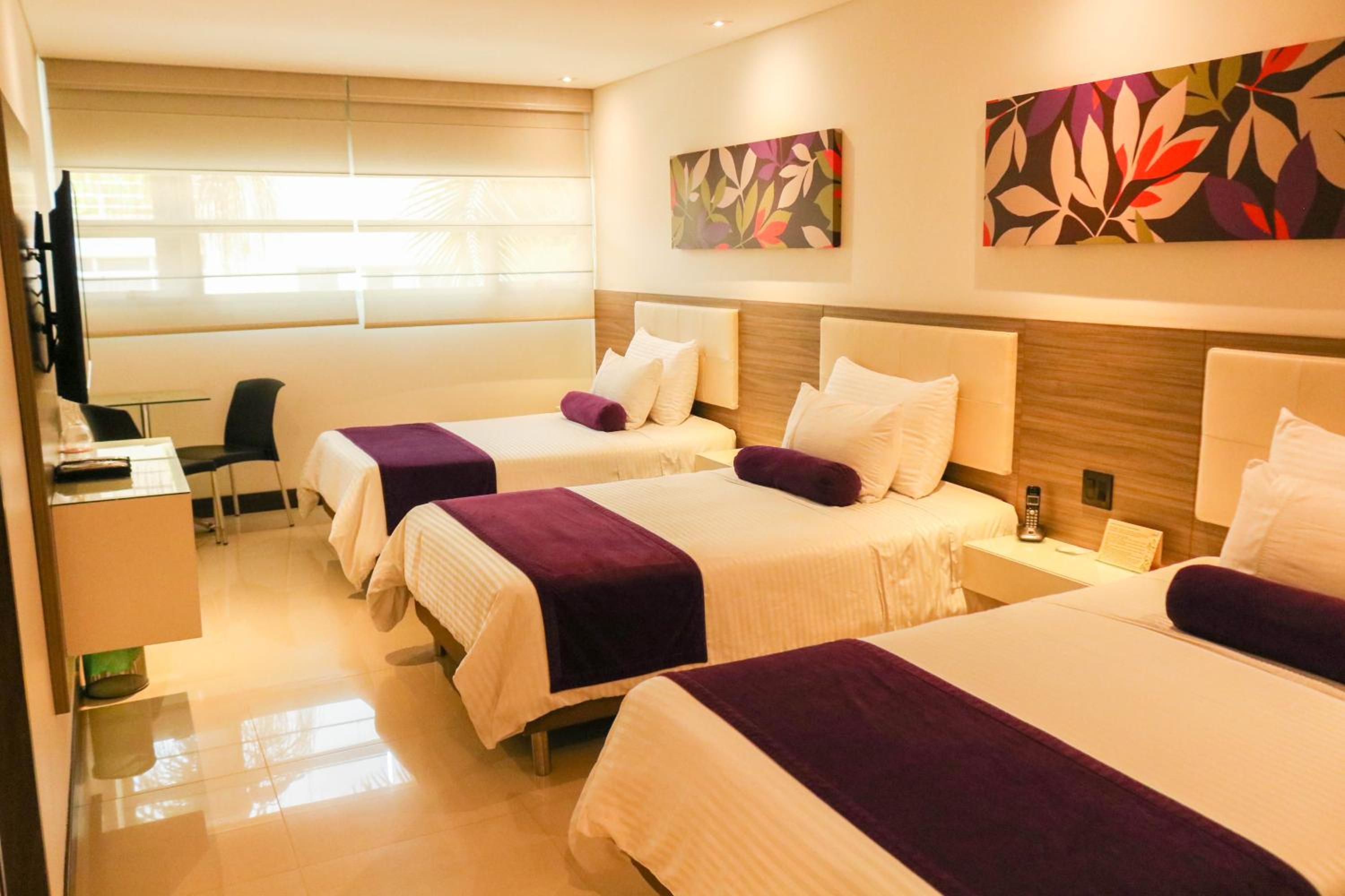 Triple Room photo 2