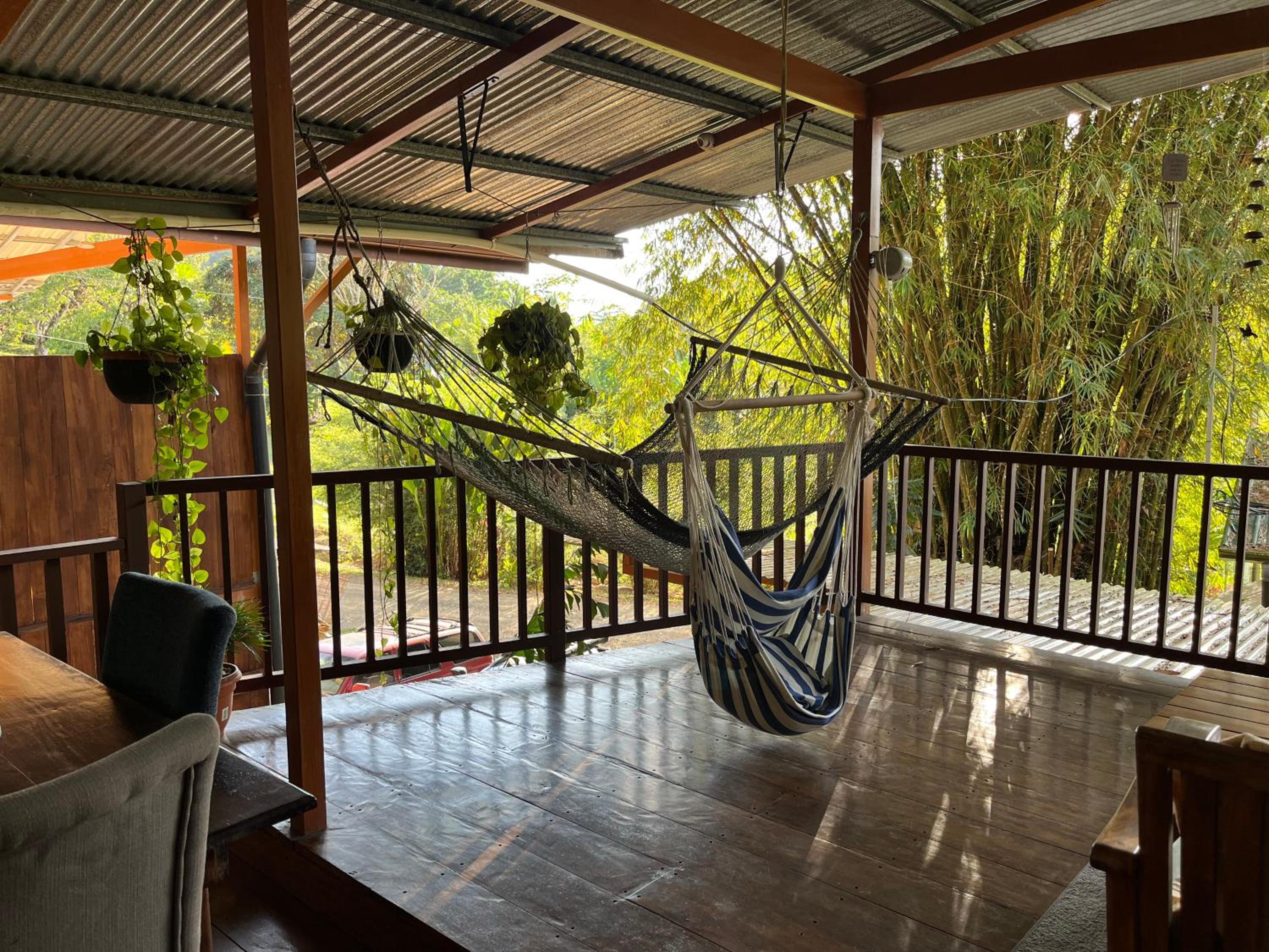 Apartment with Terrace photo 3
