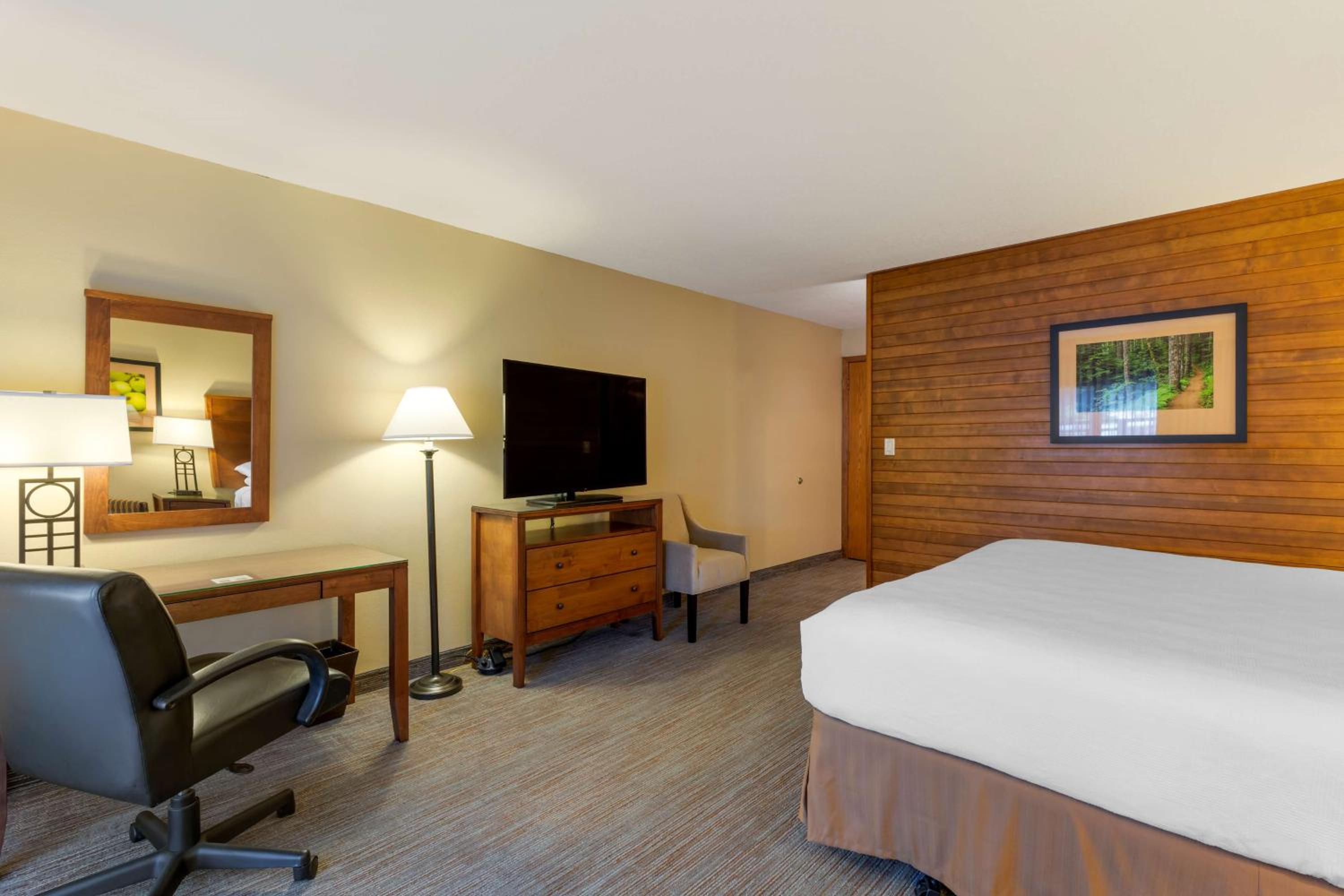 Standard King Room - Pet Friendly by Request