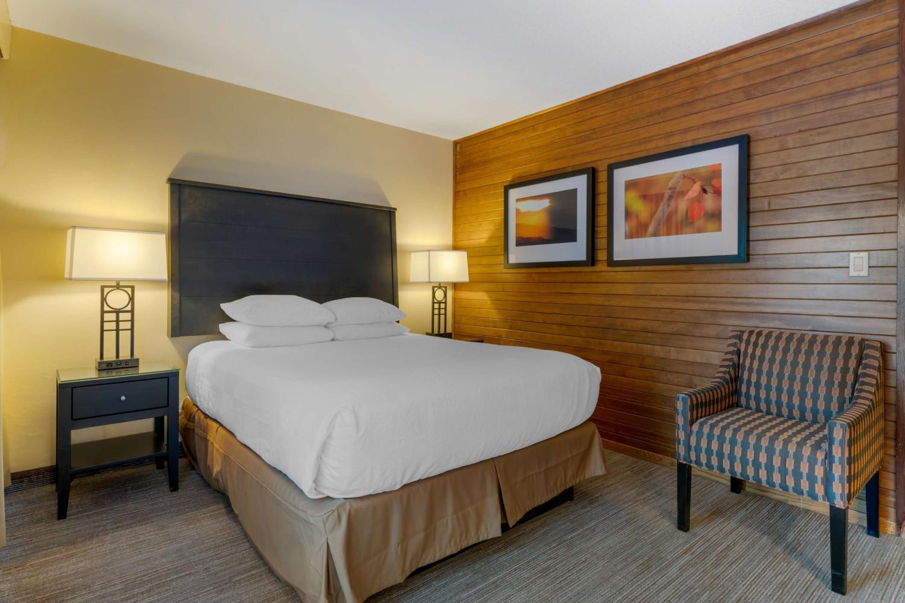 Economy Queen Room - Pet Friendly by Request