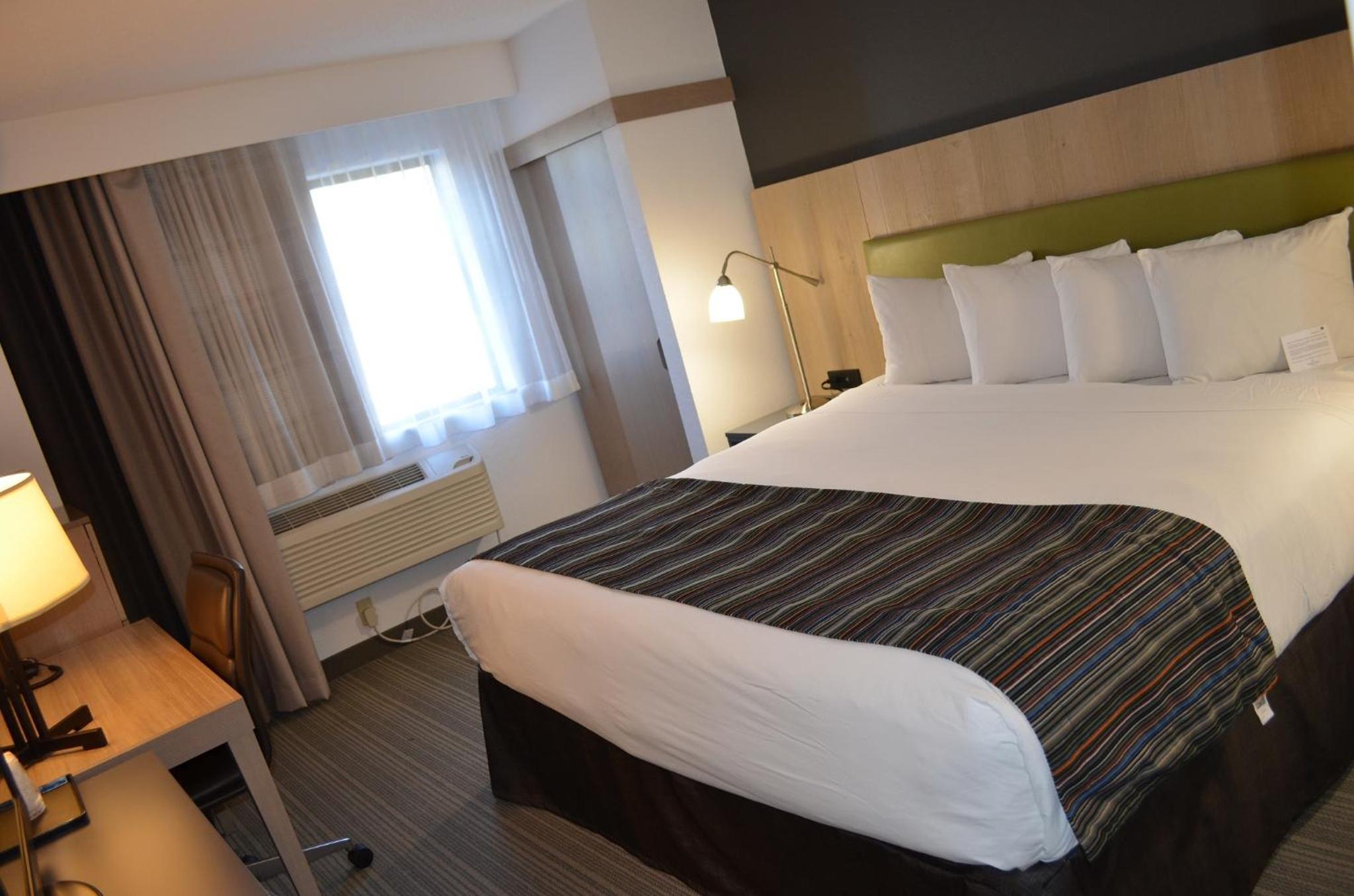 King Room - Non-Smoking - Photo 5