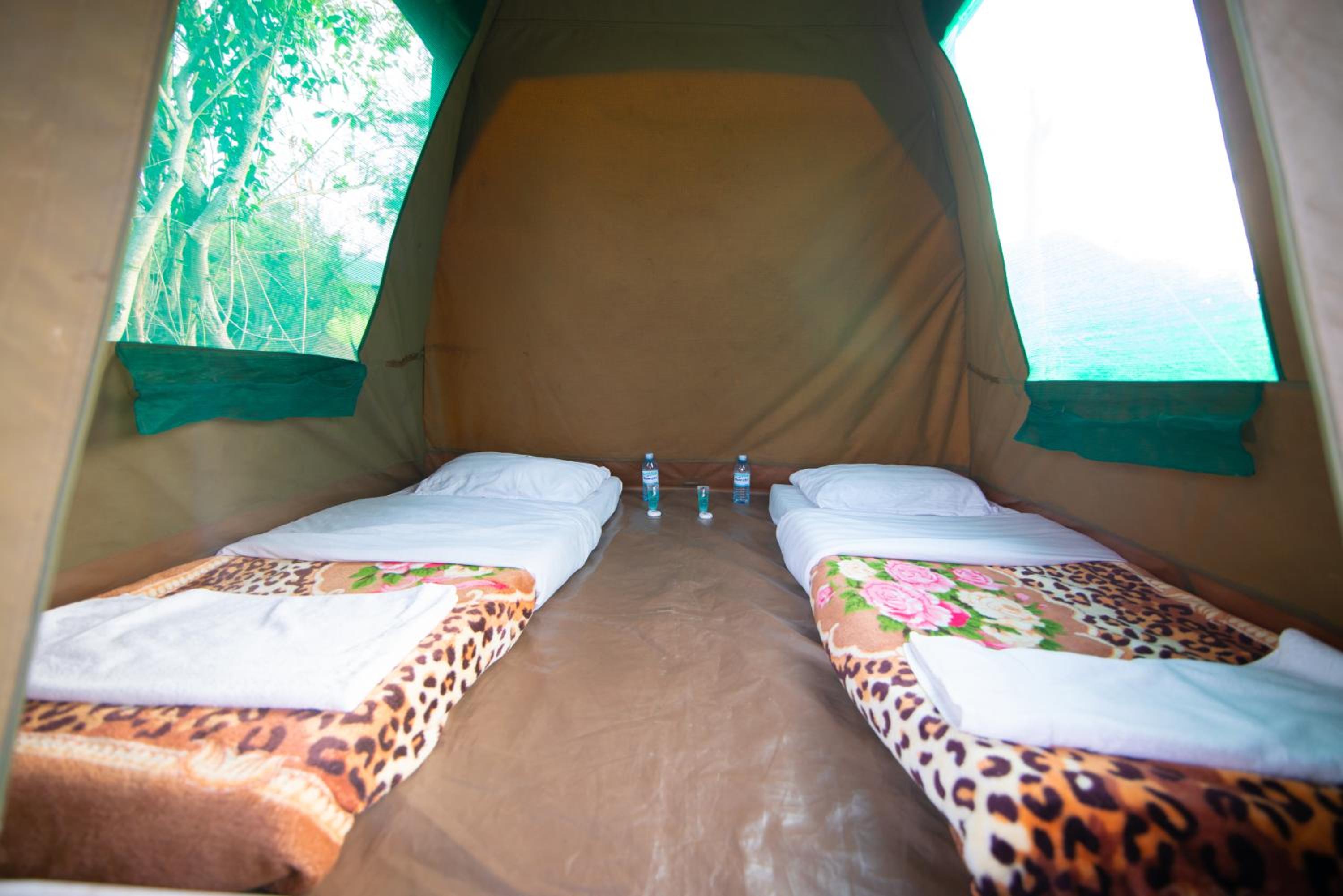 Tent photo 1