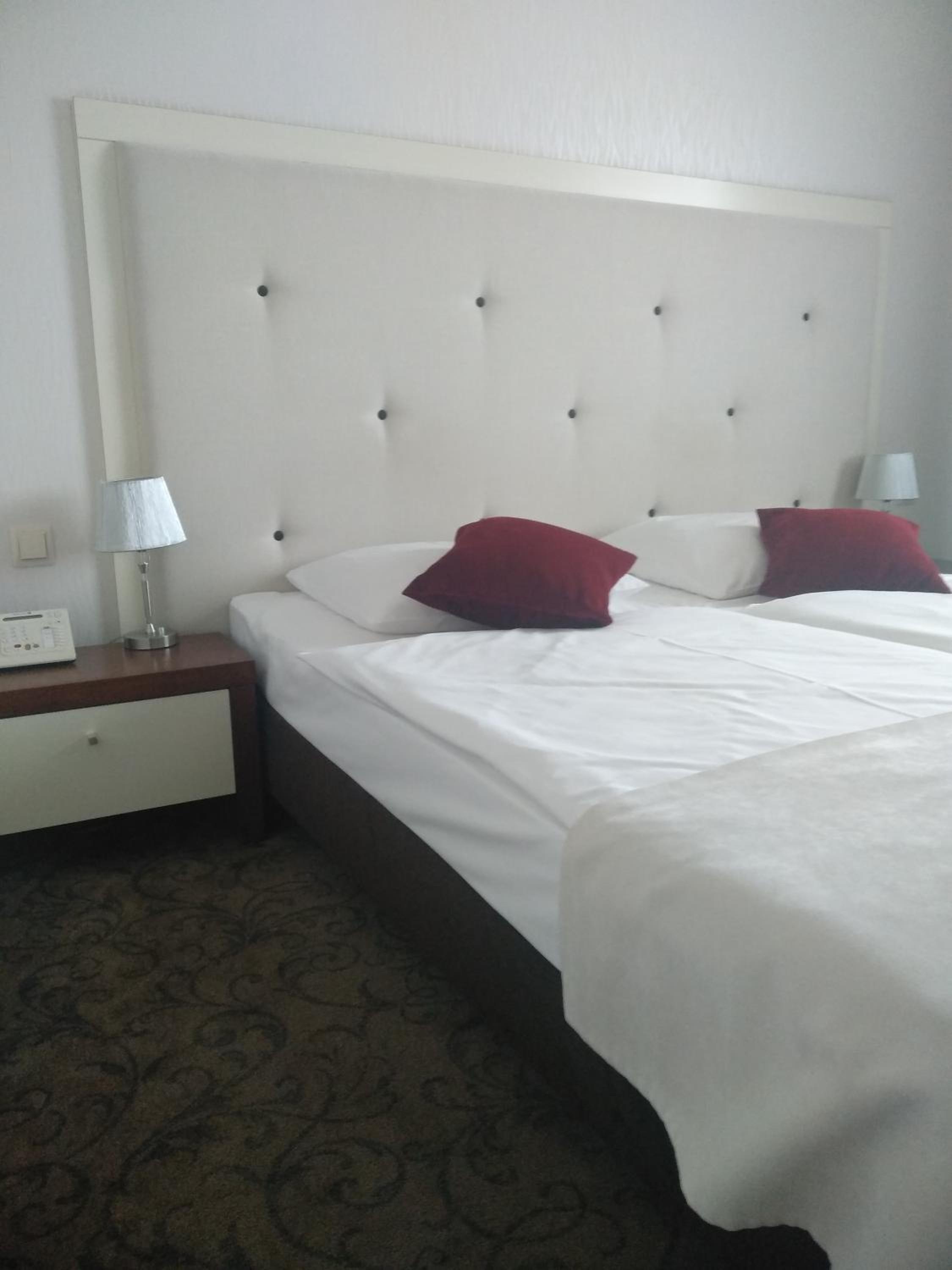 Deluxe Double or Twin Room photo 3