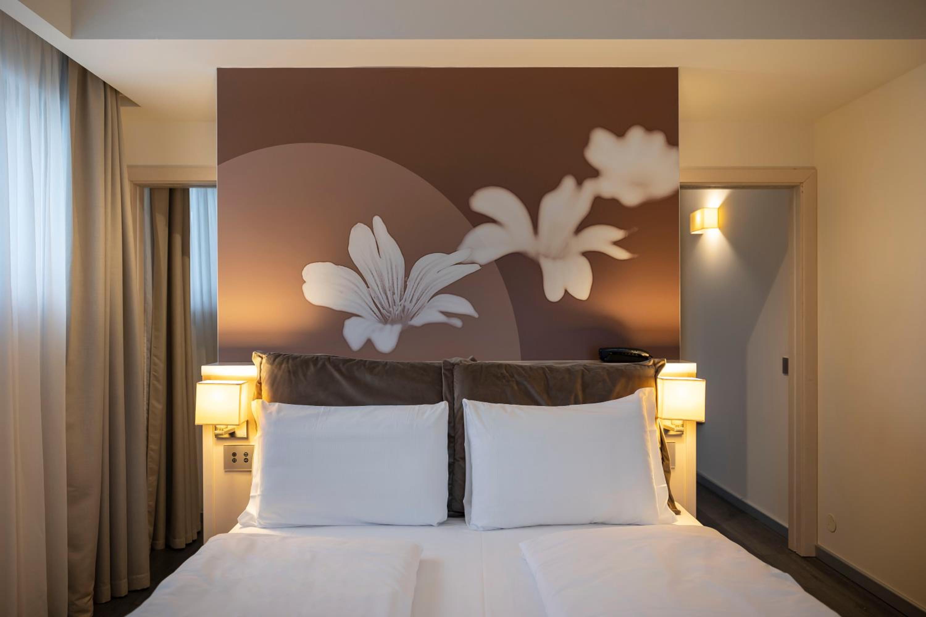 Suite - Photo 1