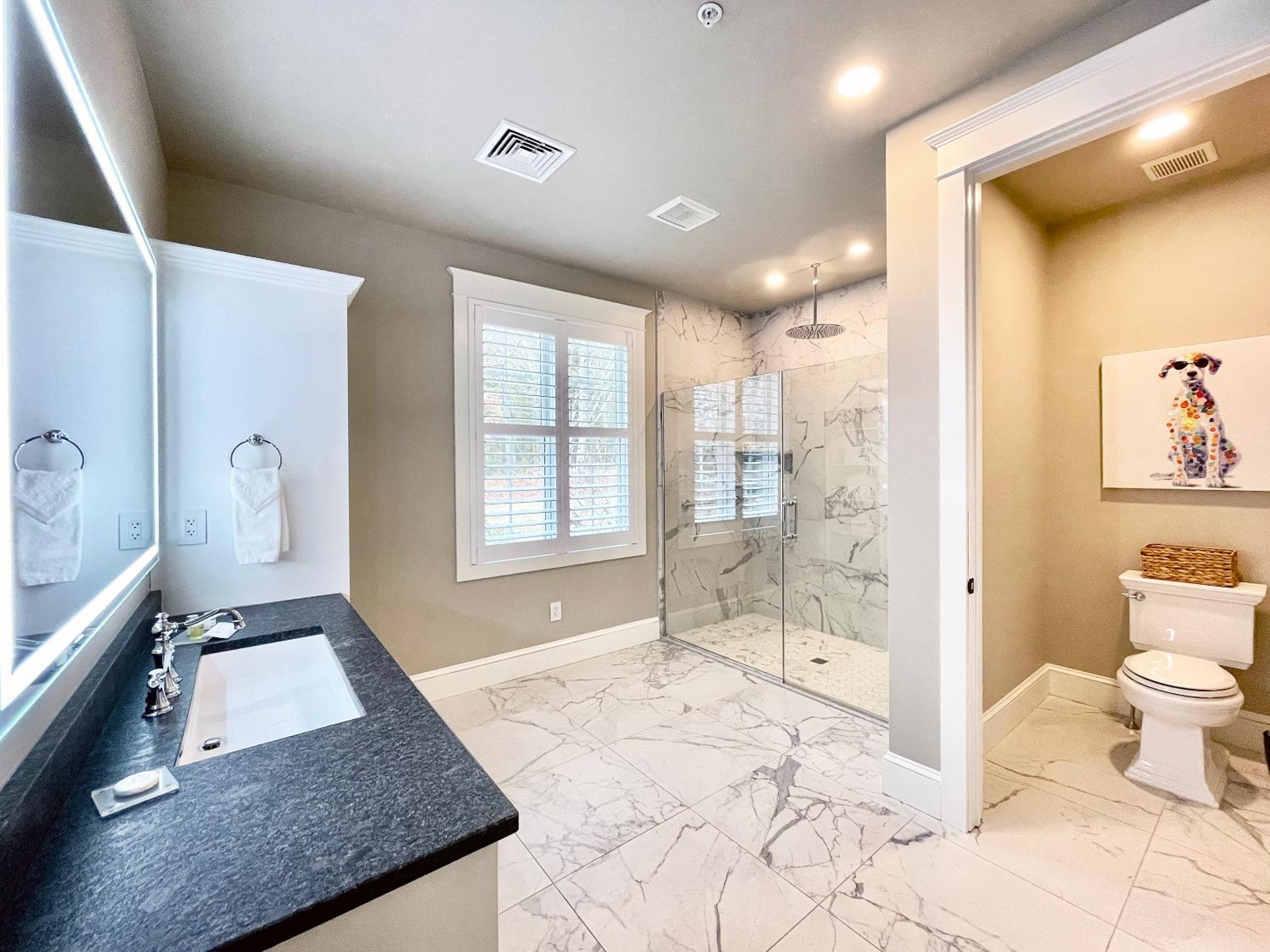 Suite photo 2