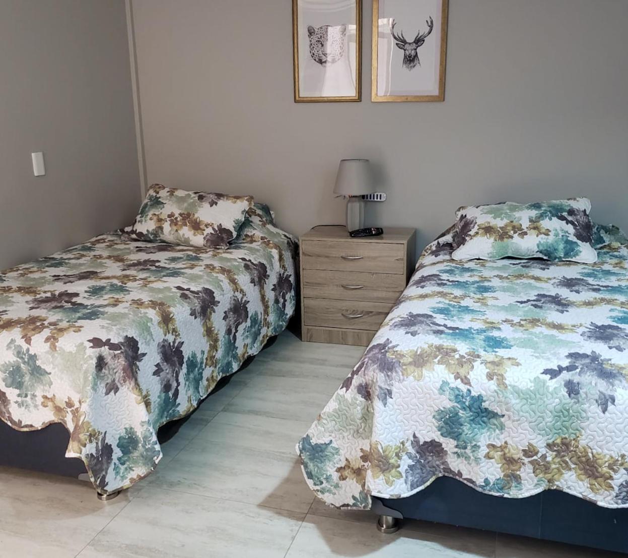 Deluxe Twin Room photo 1