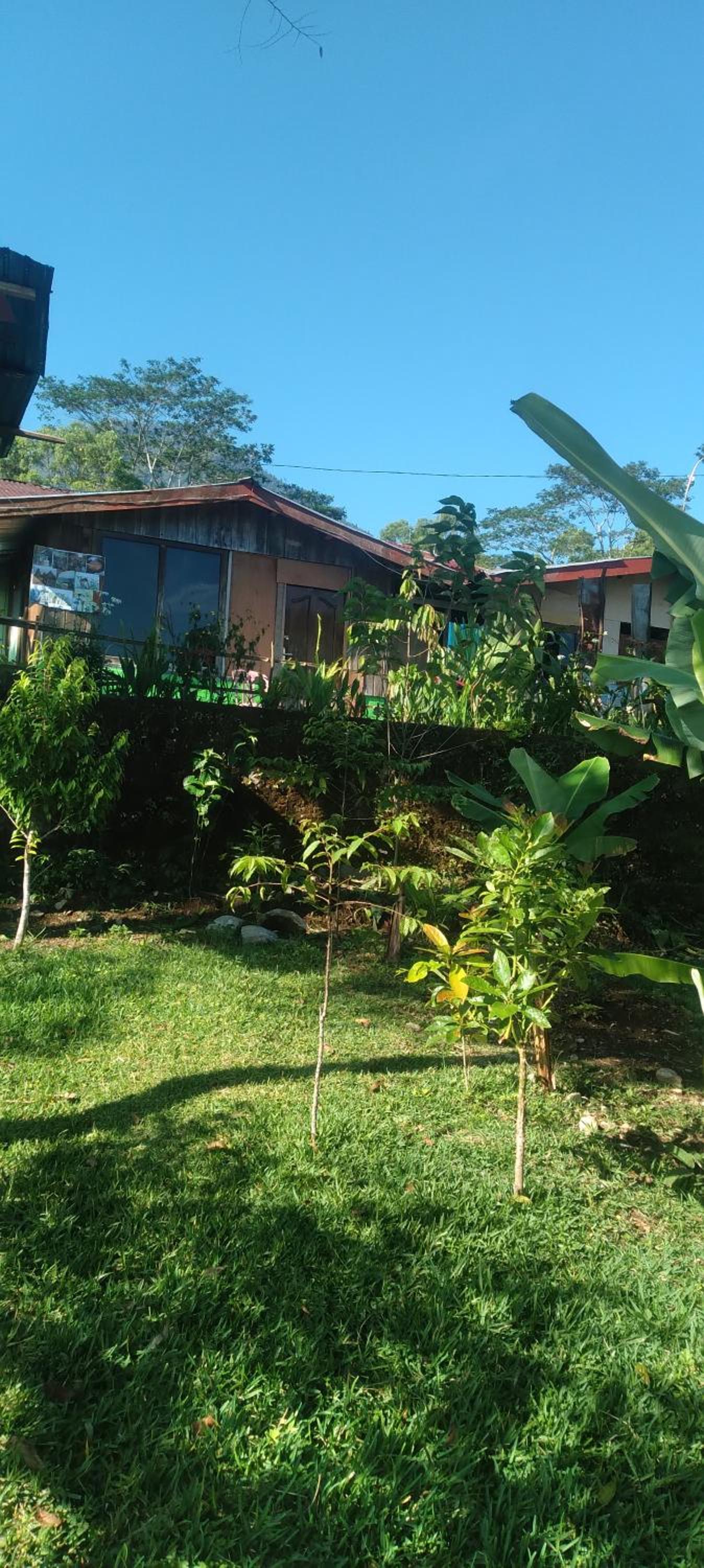 Double Room - Photo 9