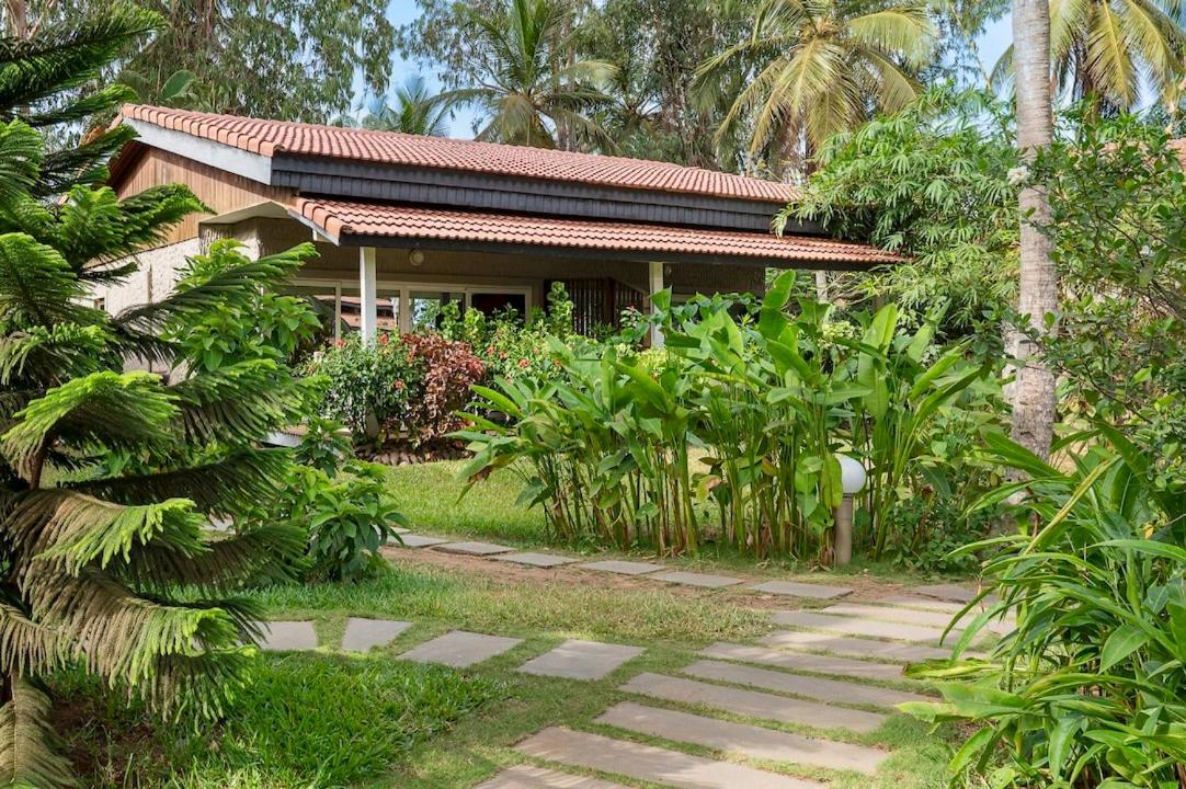 Double Room with Garden View photo 3