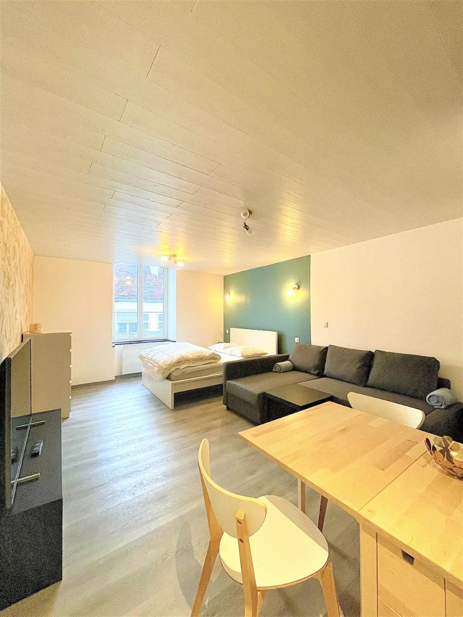 Studio Apartment - Photo 4